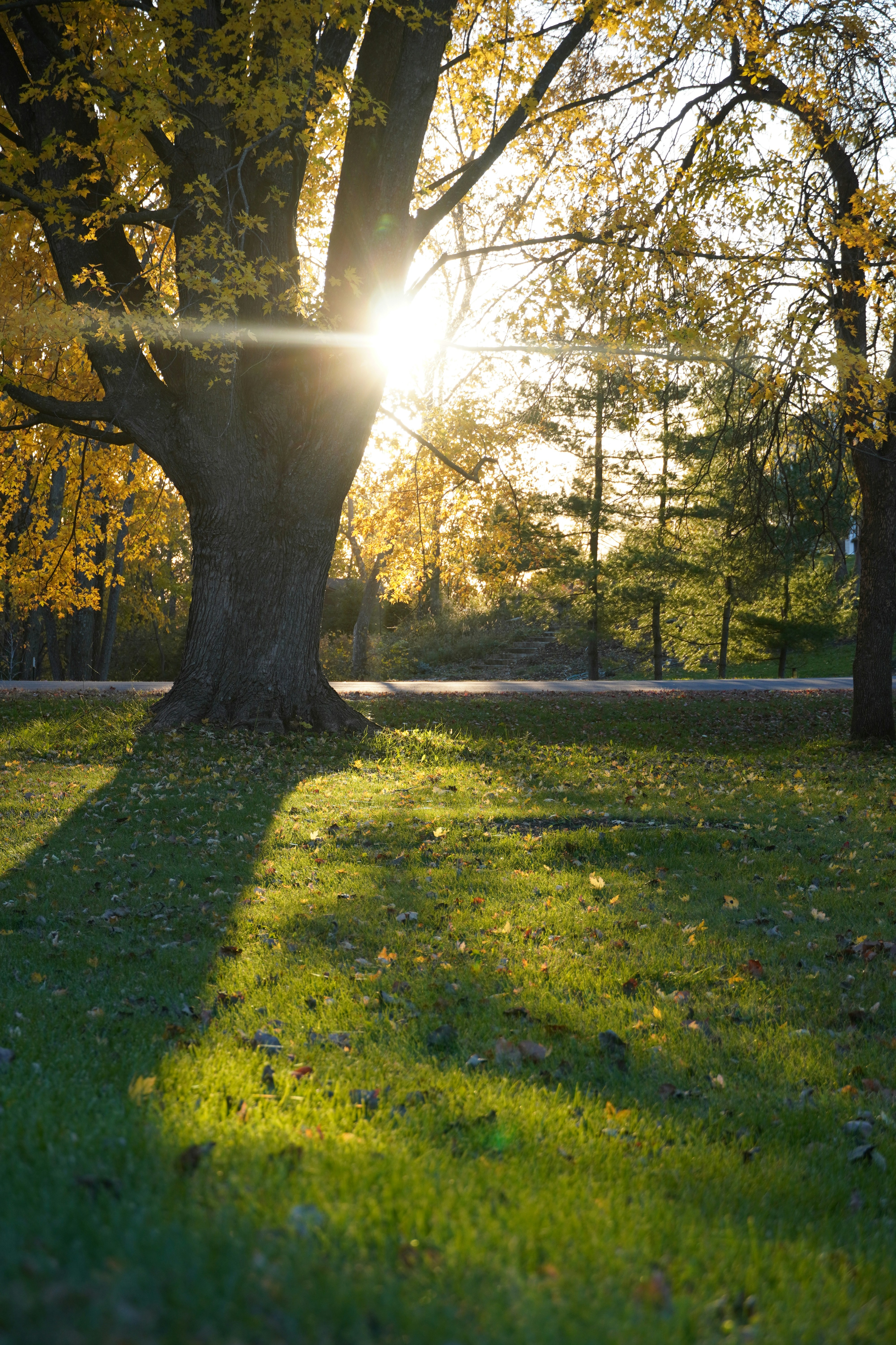 Photo by calecrunchy