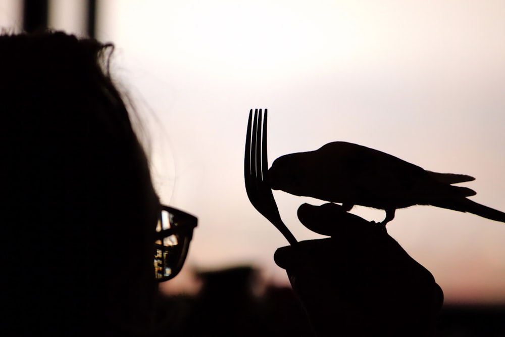 a person holding a fork with a bird on it