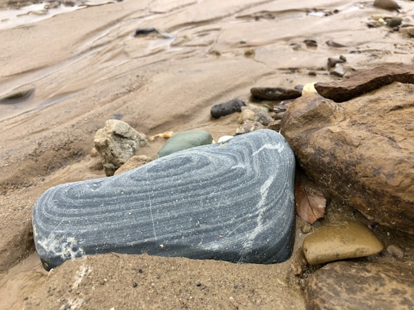 A smooth, gray stone with white streaks lies amongst other rocks and gravel on a sandy surface. The sand appears wet, suggesting recent water flow or proximity to a water source. The stones and rocks vary in color and texture, adding diversity to the scene.