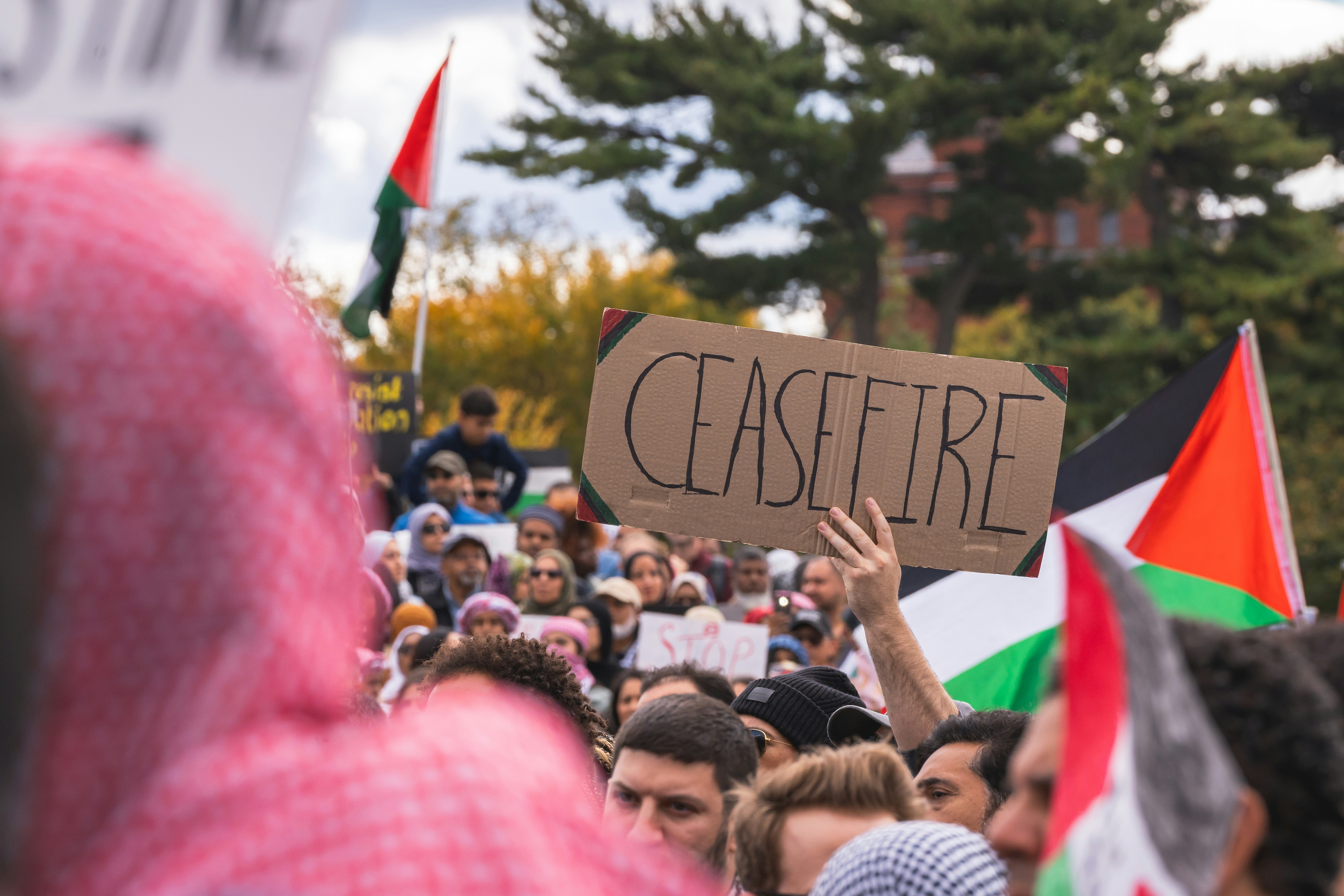 a crowd of people holding signs and flags