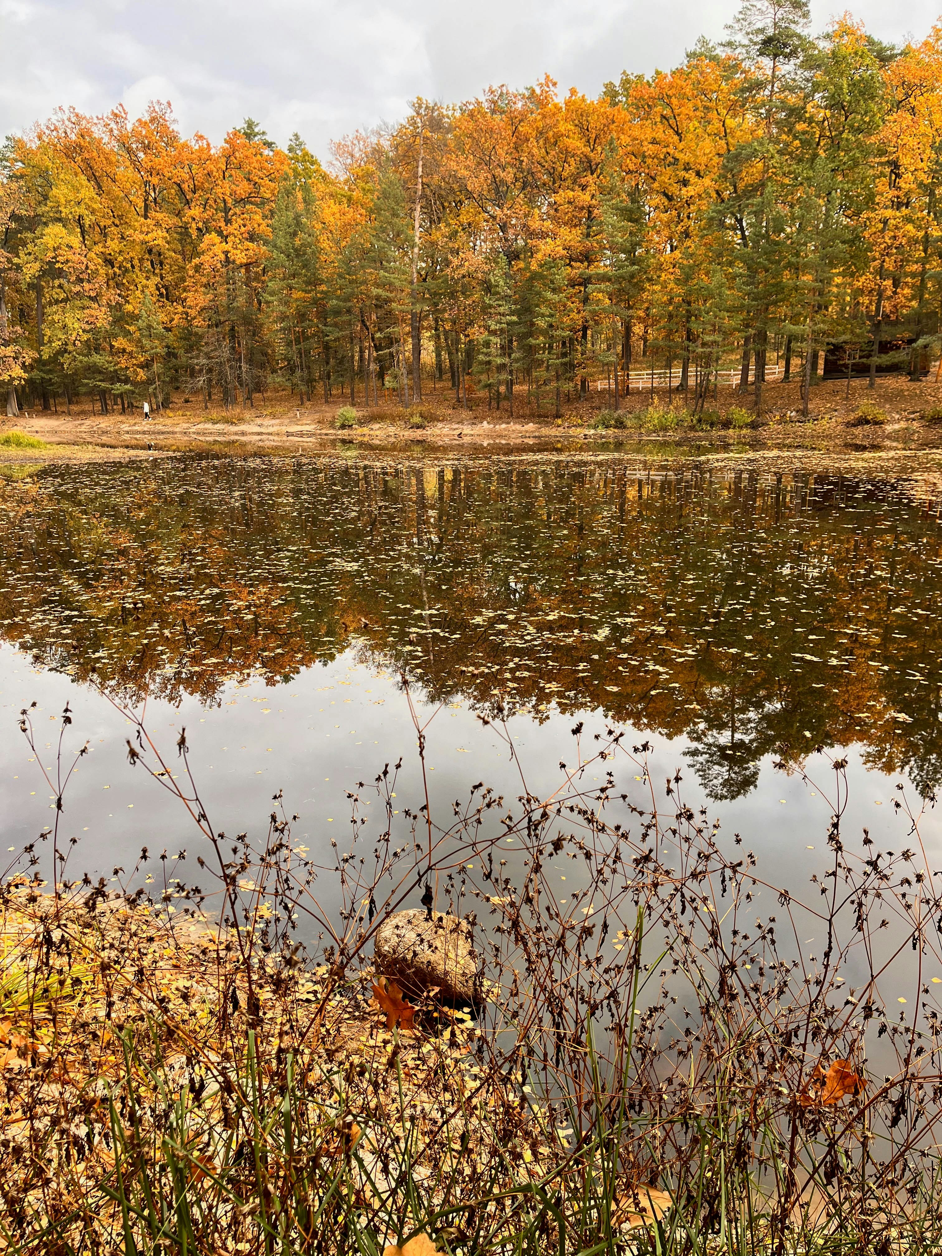 Photo by travelertraveler_