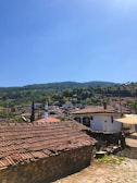 Traditional Druze village houses nestled in a lush green landscape.