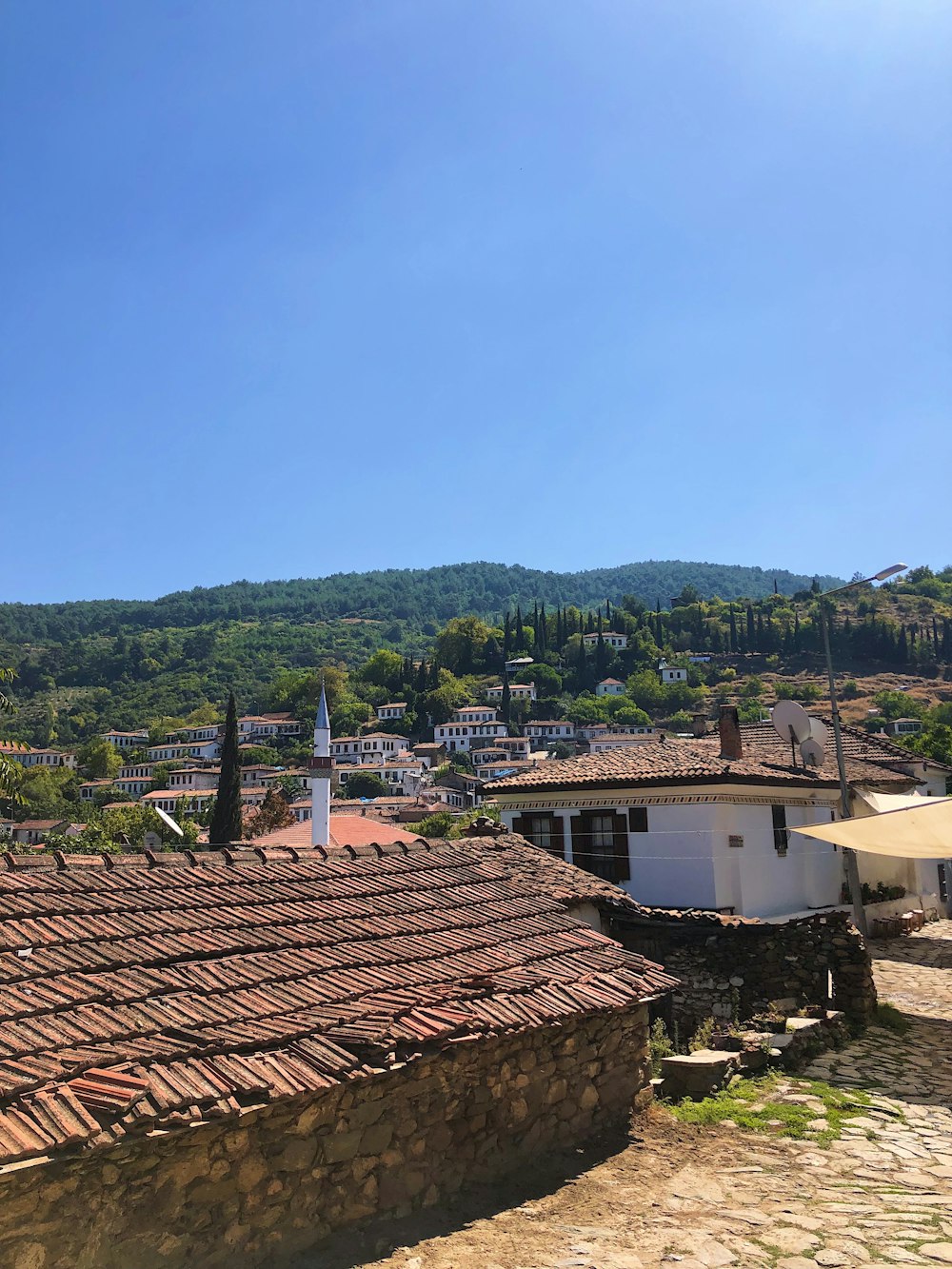 a view of a village with a mountain in the background