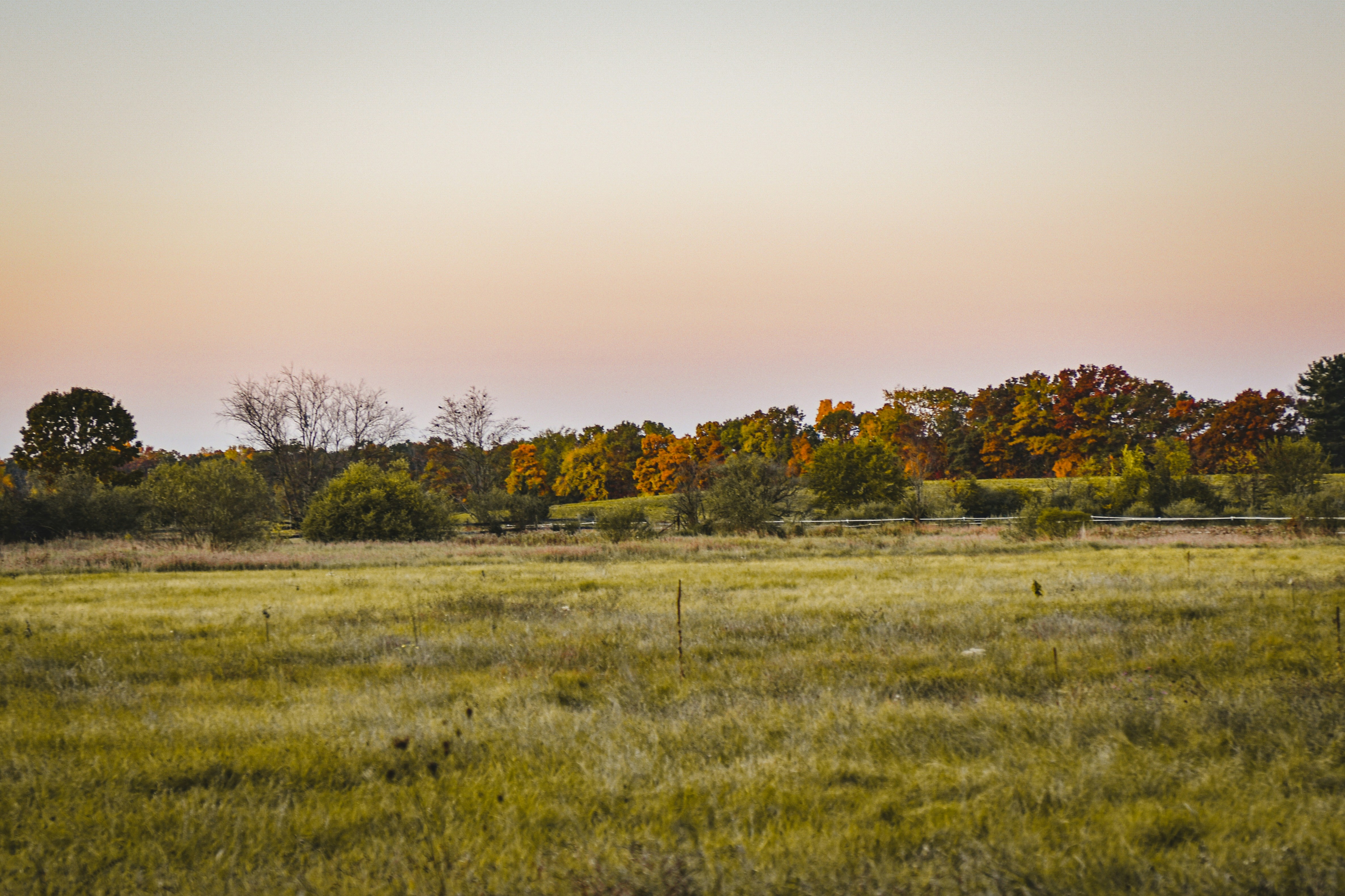 Photo by freefolkphoto