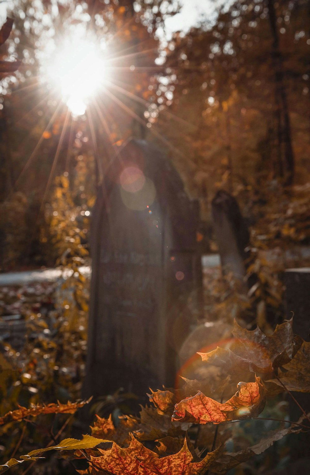 the sun shines brightly over a grave in a cemetery