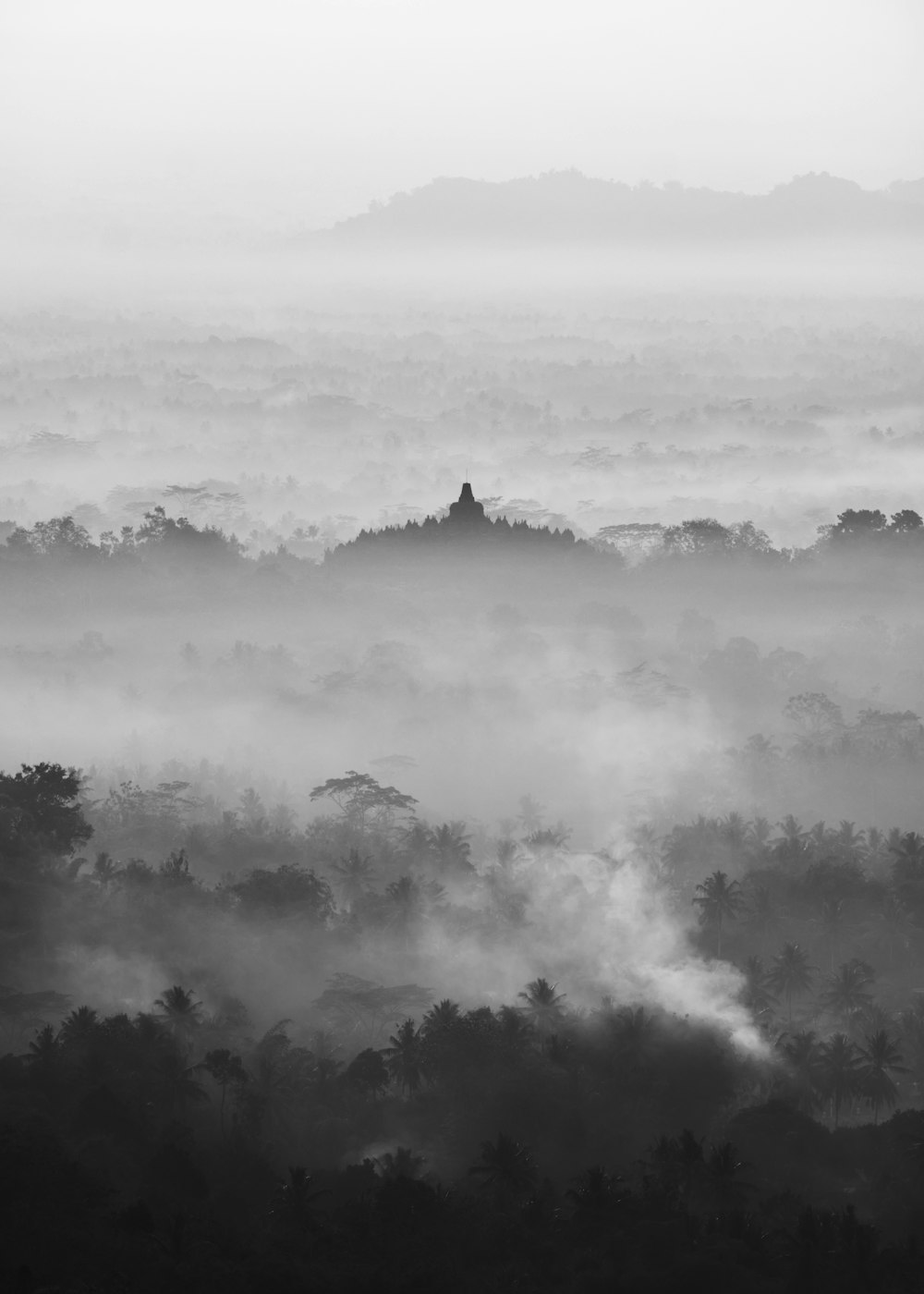 a black and white photo of a foggy forest