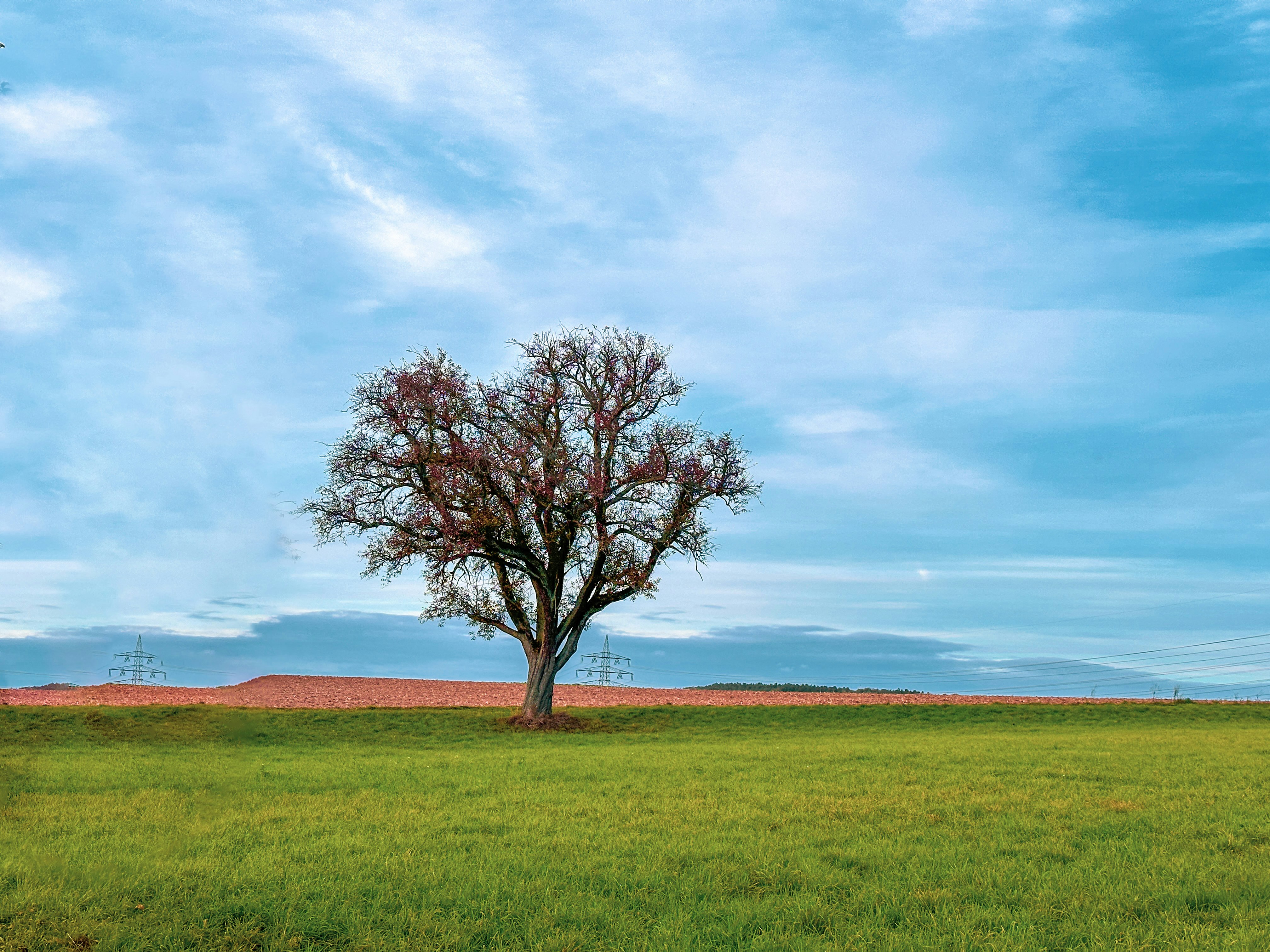 Photo by masoodaslami