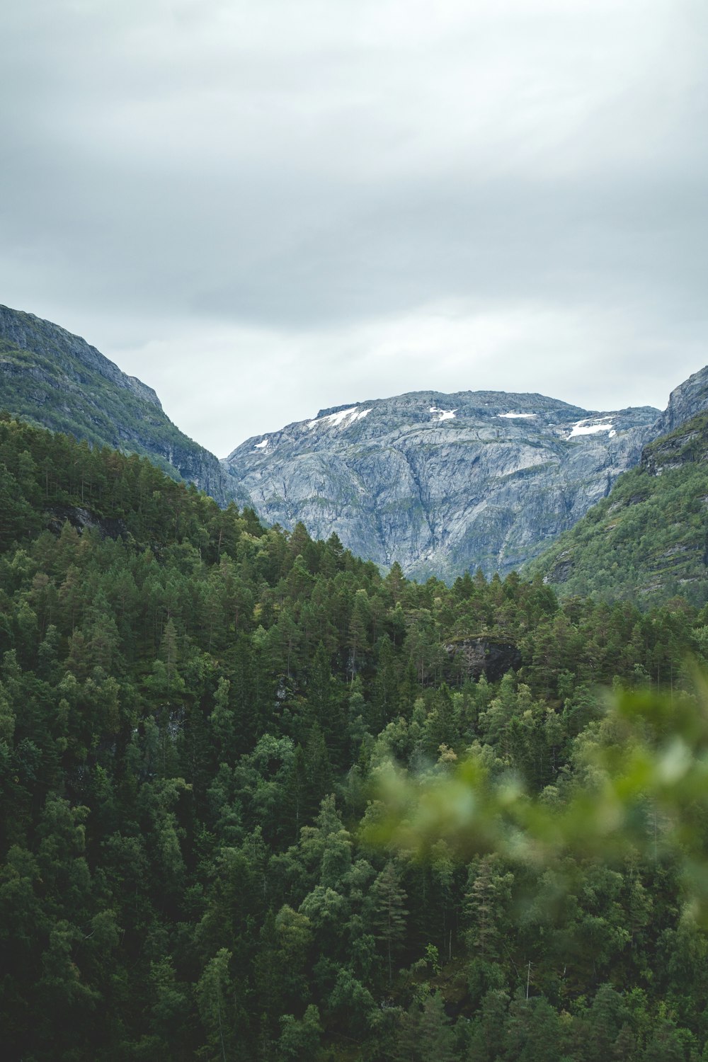 a view of a mountain range with trees and mountains in the background