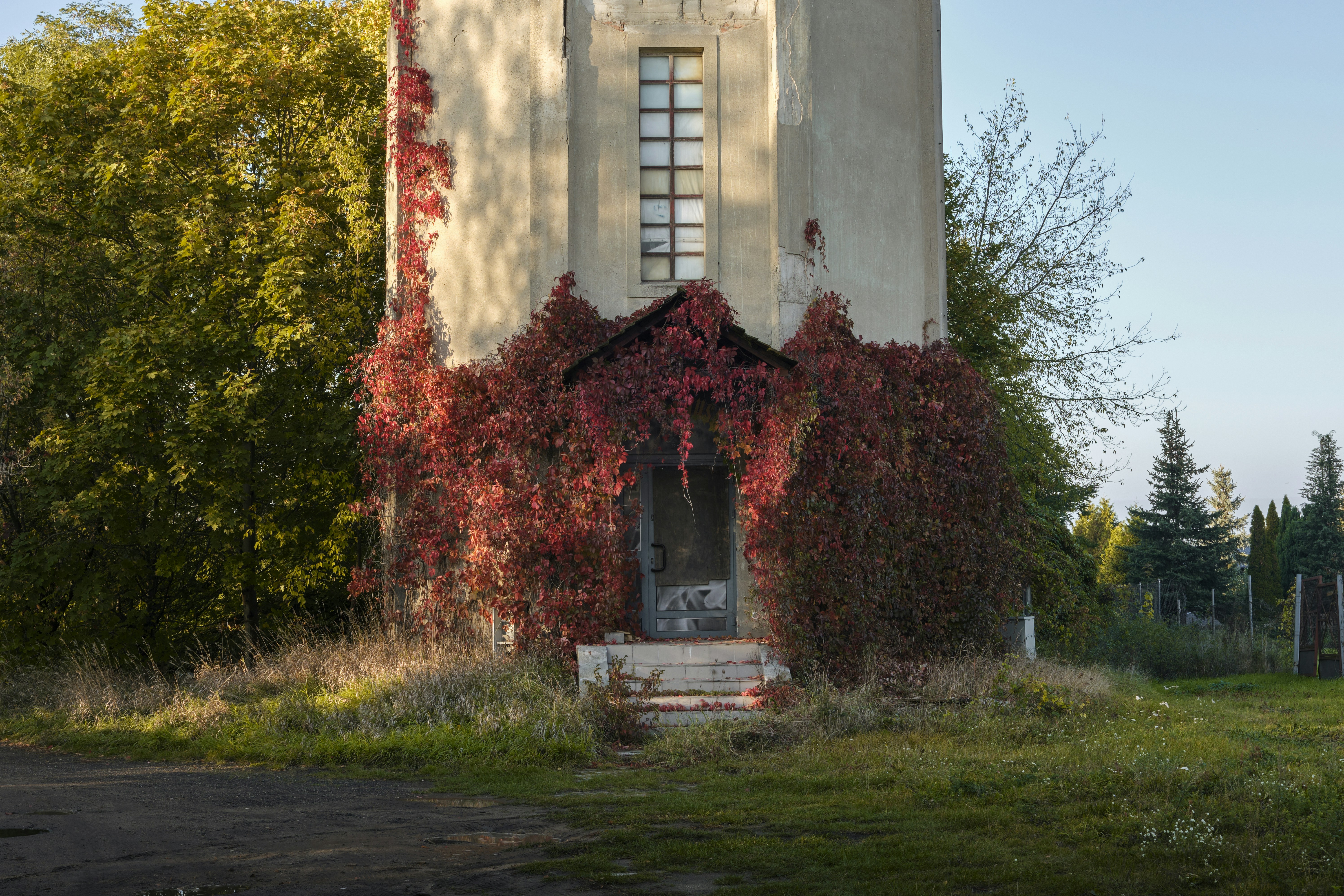 Photo by victor_vector