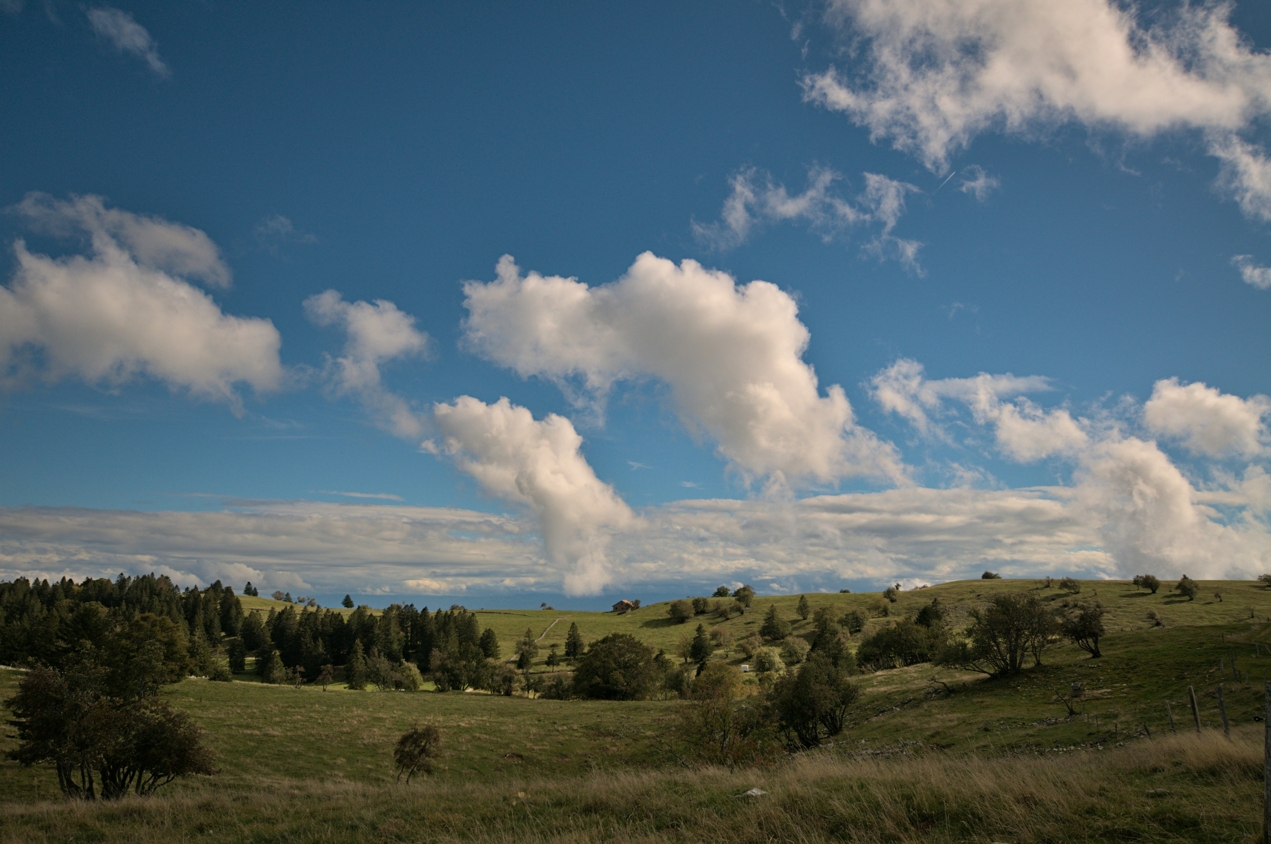 Photo by david_mertin