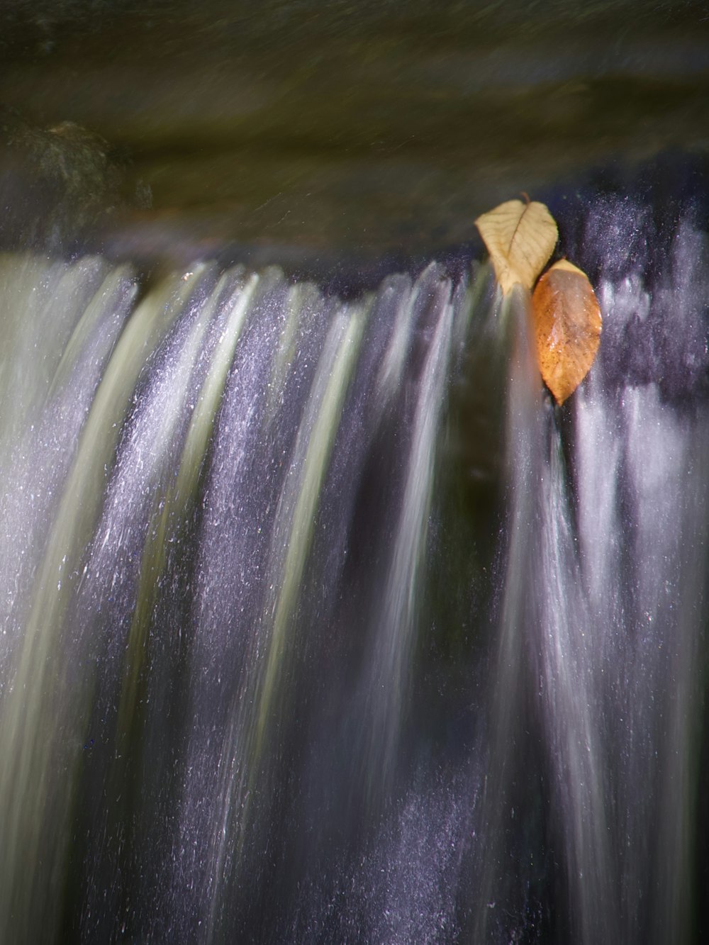 a leaf that is on top of a waterfall