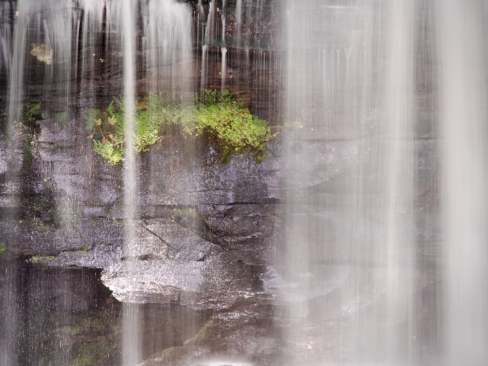 a close up of a waterfall with a plant growing out of it