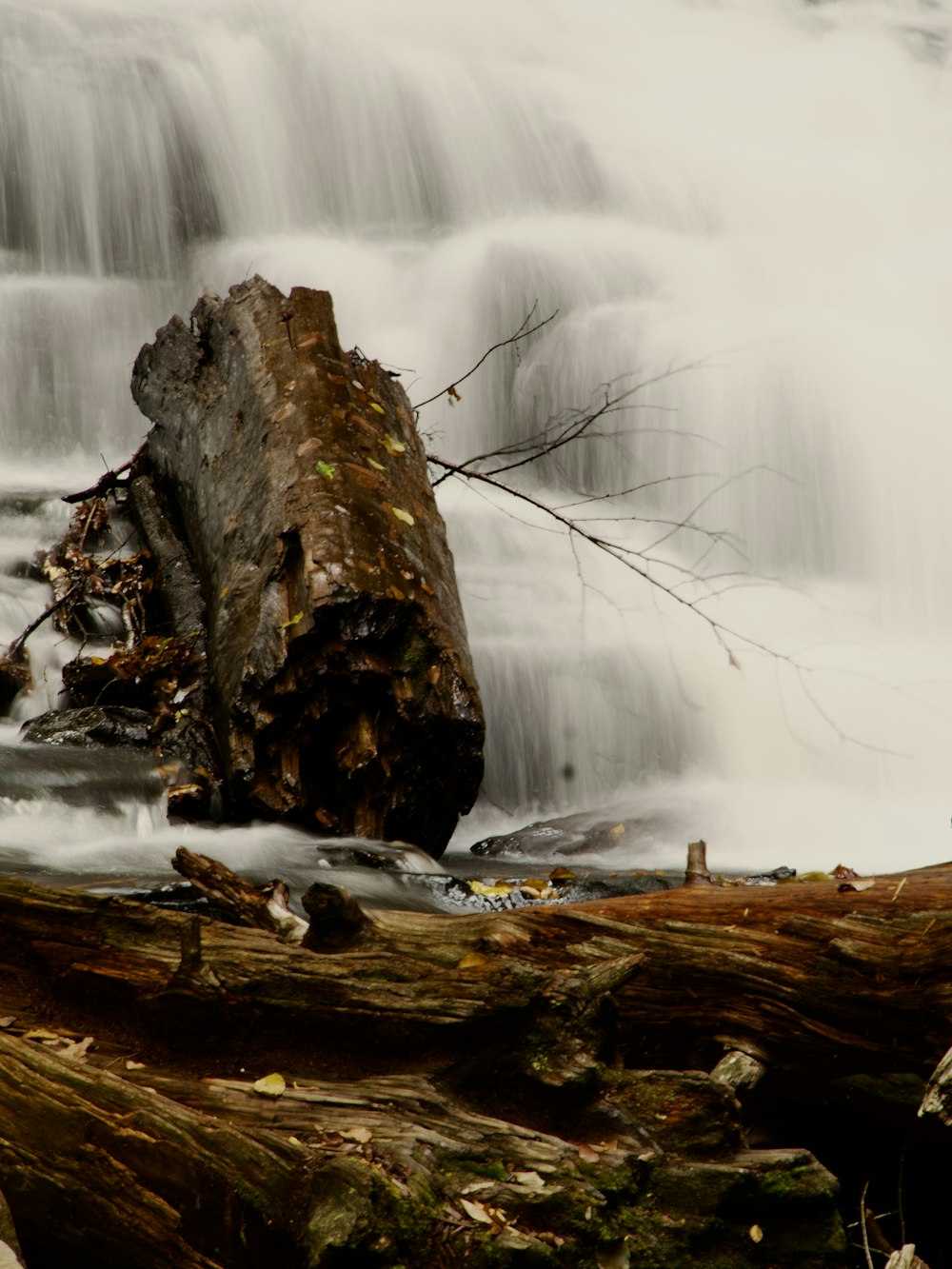um tronco deitado no chão em frente a uma cachoeira