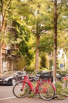 A red bicycle with a black basket is parked against a tree on a city street. The background features parked cars and a row of trees with lush green foliage. A blue parking sign can be seen in the distance. The sunlight filters through the leaves, casting dappled shadows on the pavement.
