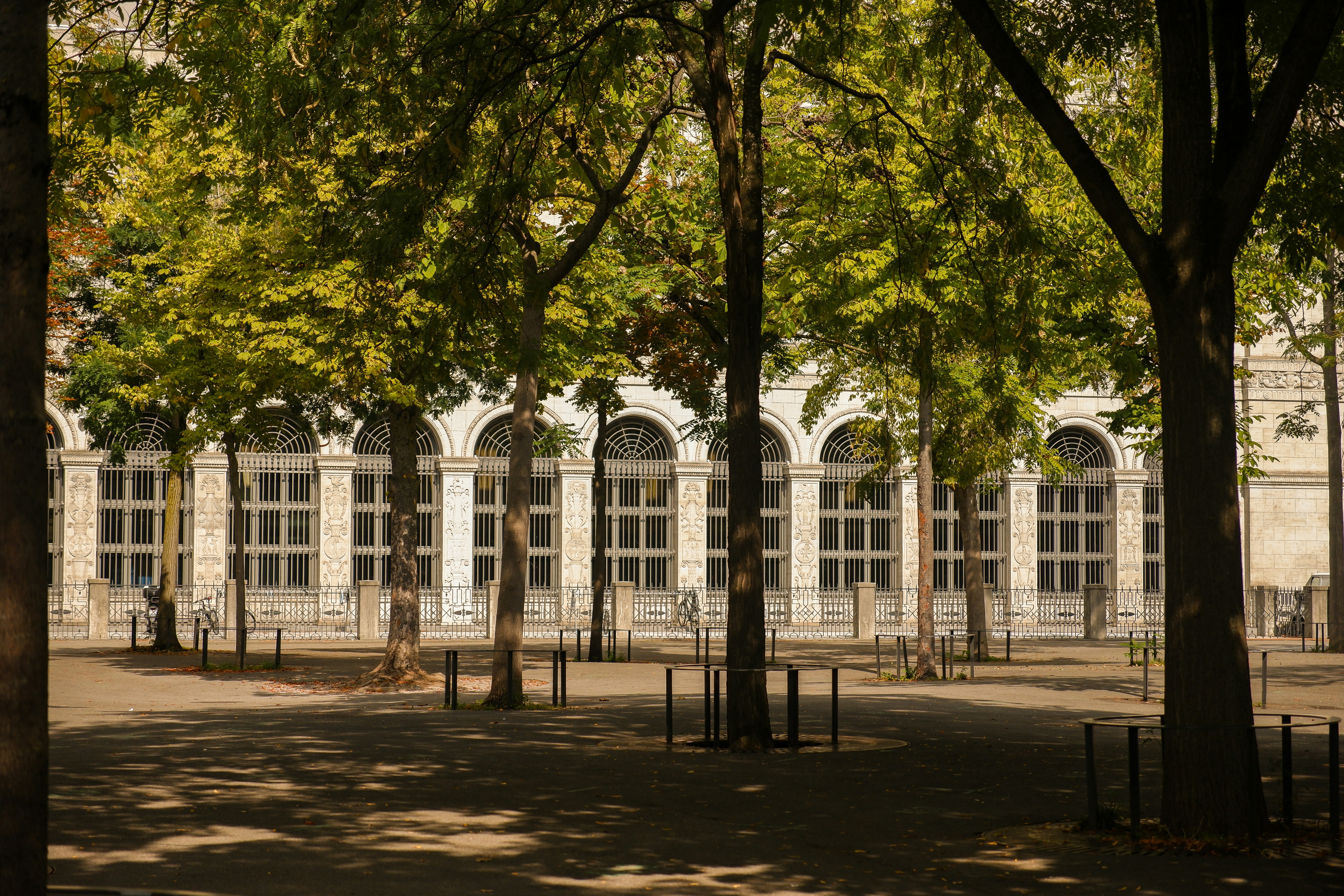 a row of trees in front of a building
