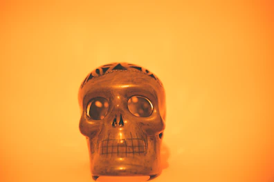 Close-up of a detailed ceramic skull vase with intricate patterns.