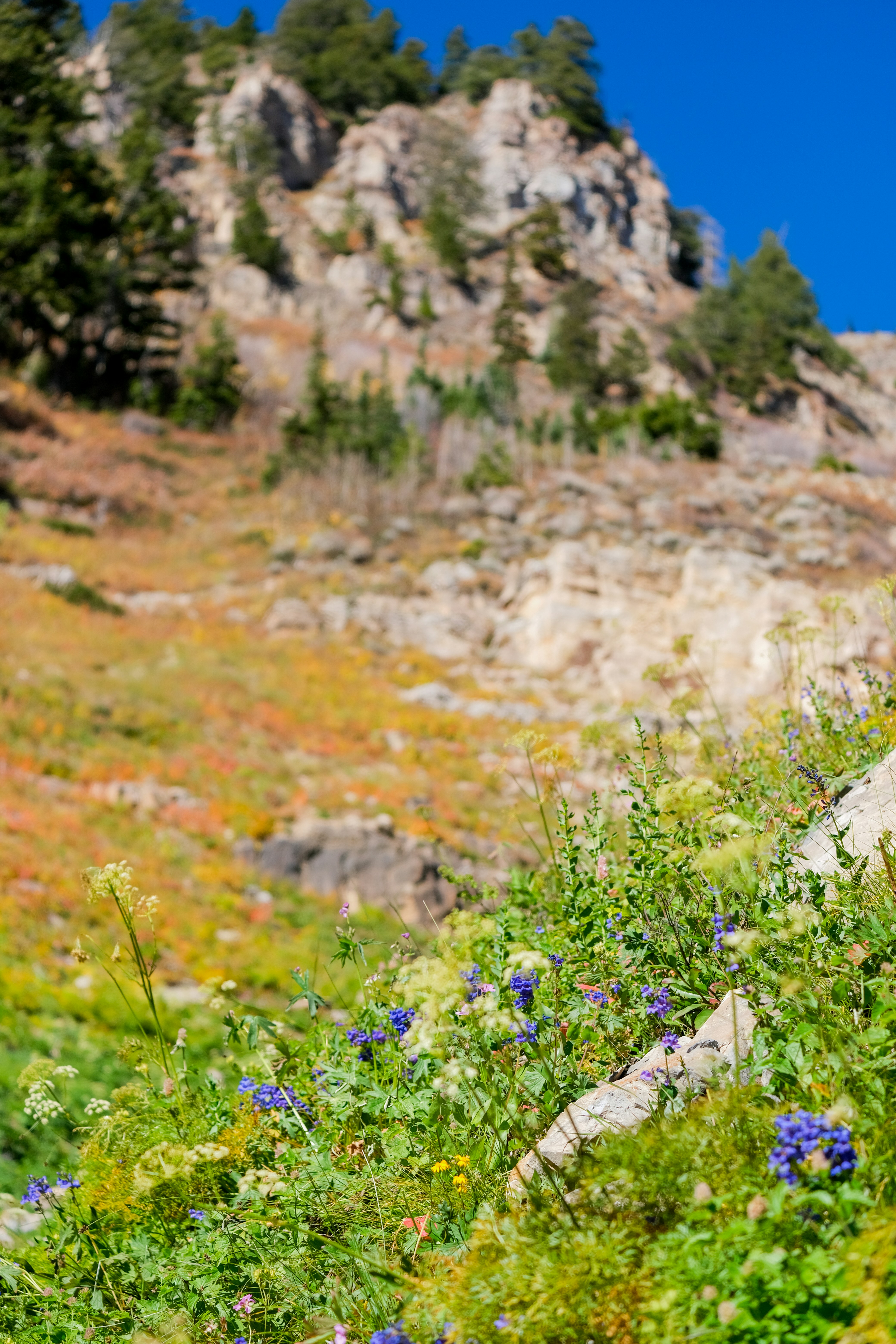 Photo by cestmoisheedy