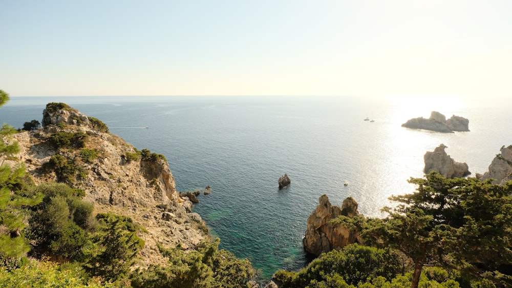 a body of water surrounded by trees and rocks