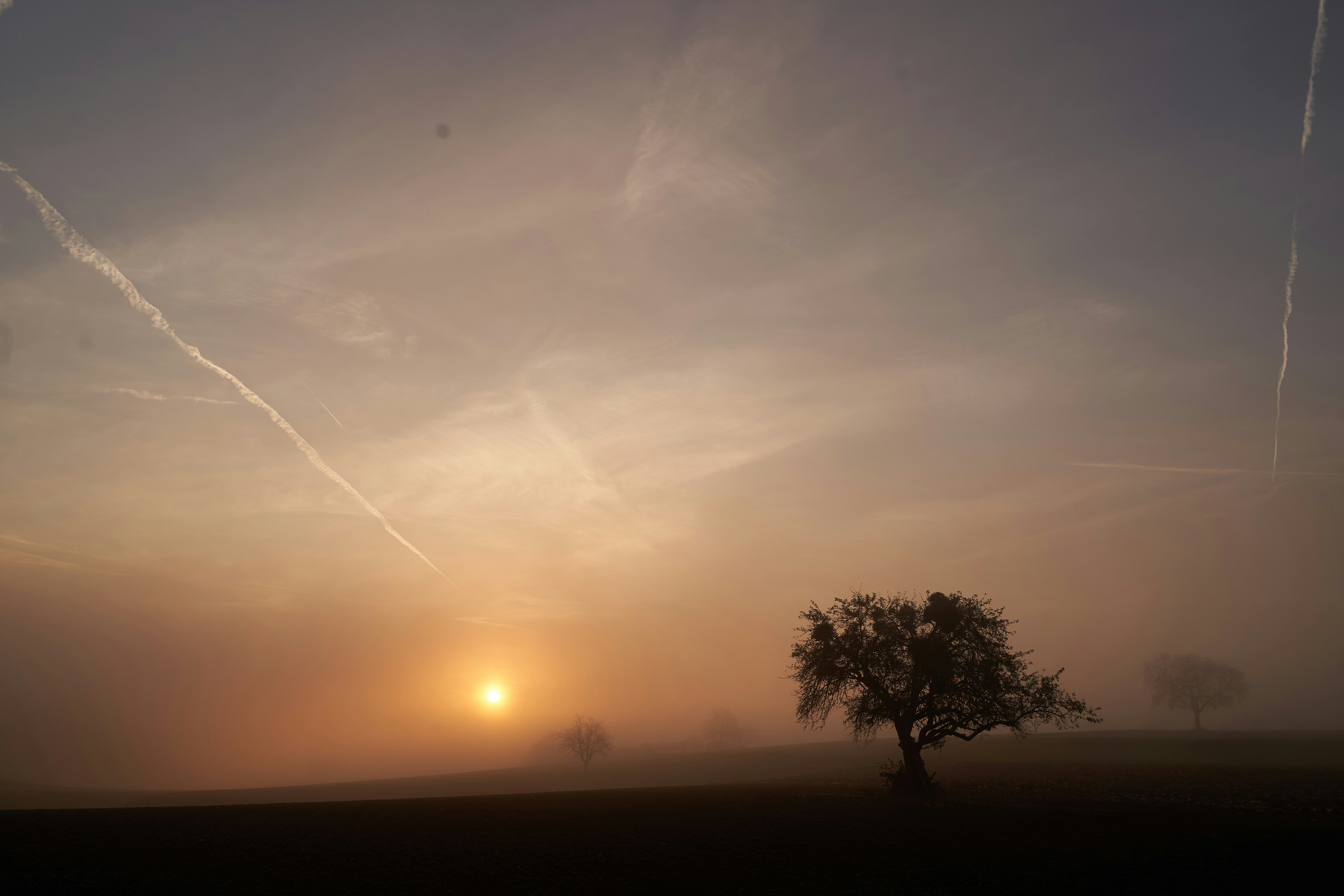 Photo by wolfgang_hasselmann