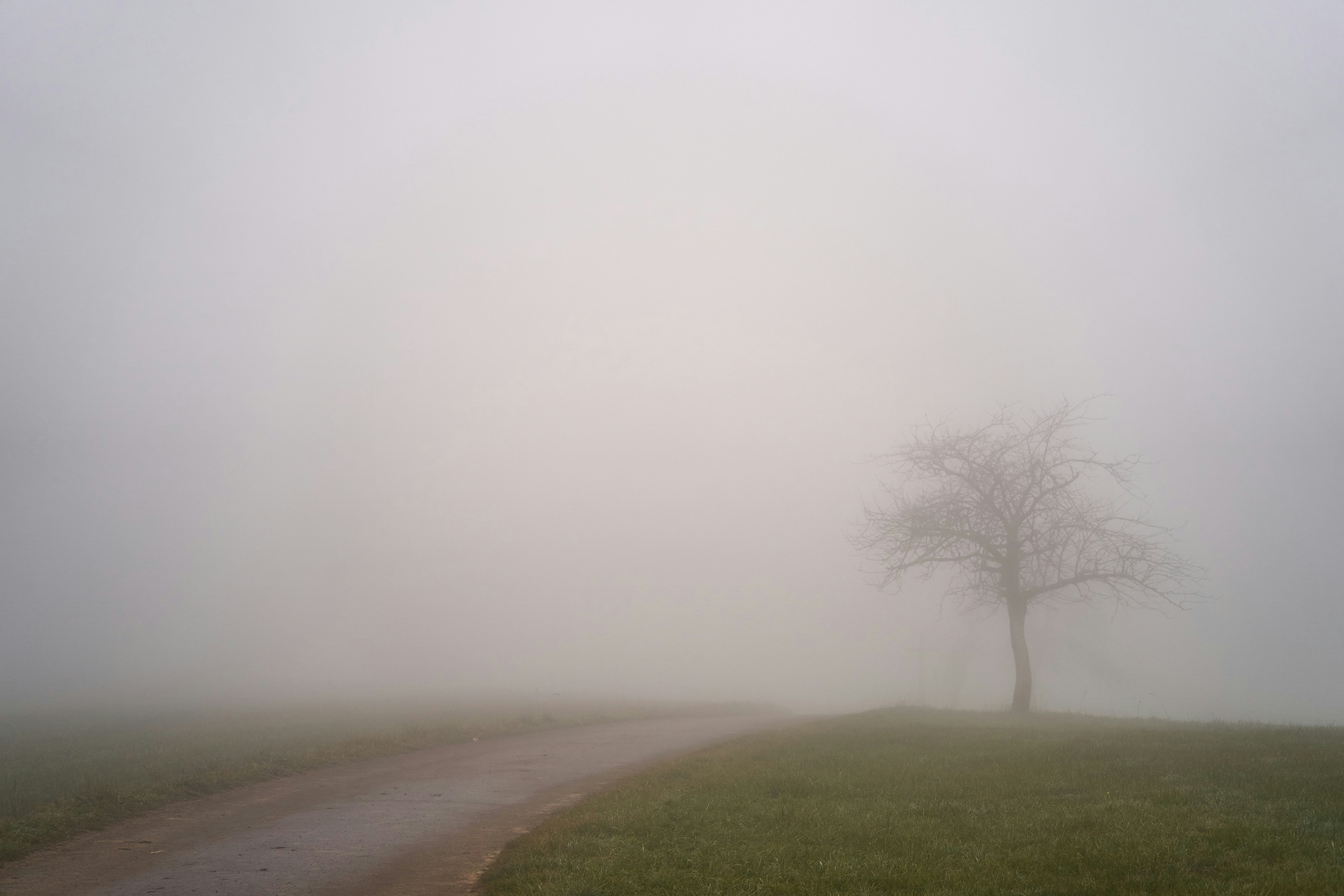 Photo by wolfgang_hasselmann