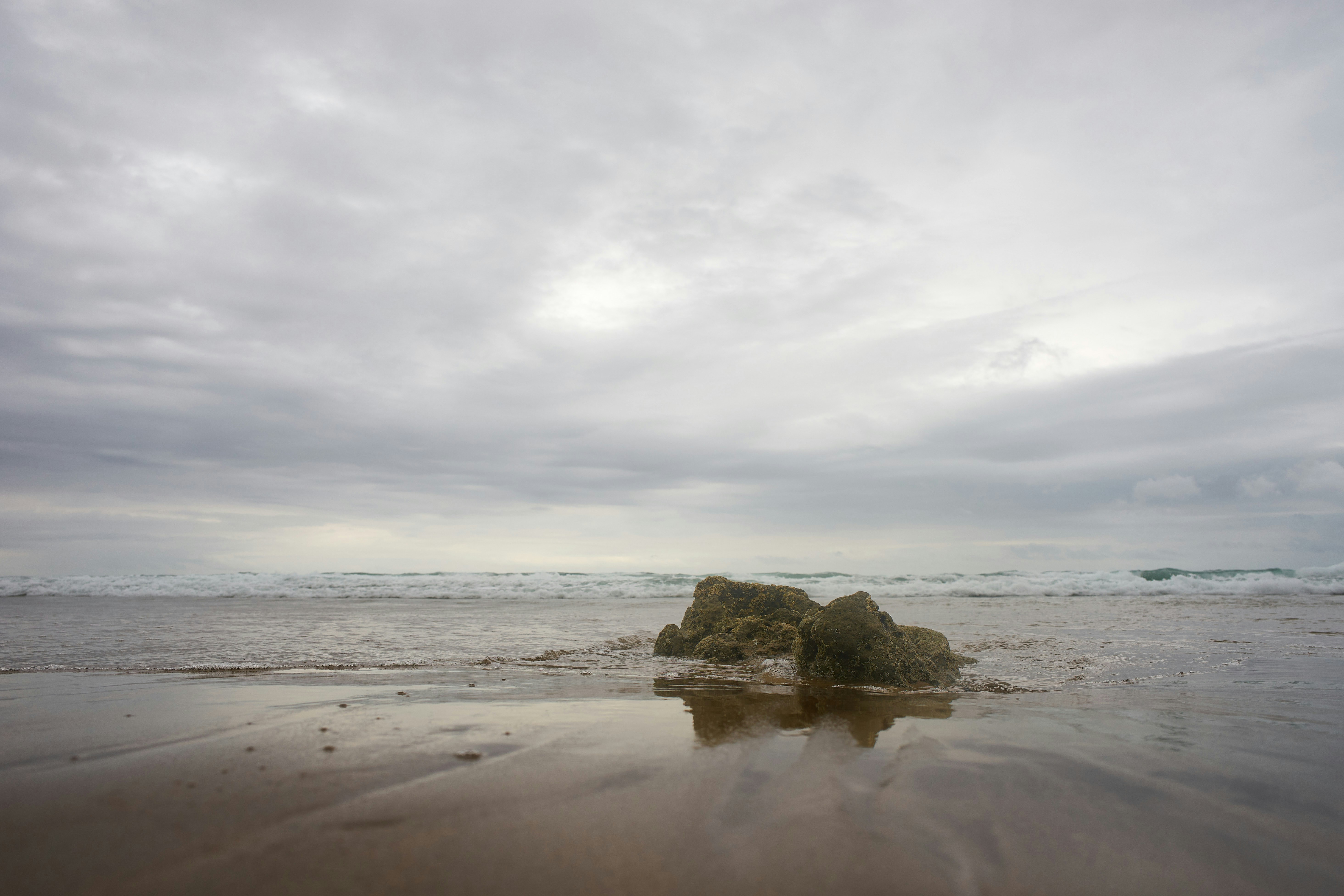 Photo by wolfgang_hasselmann