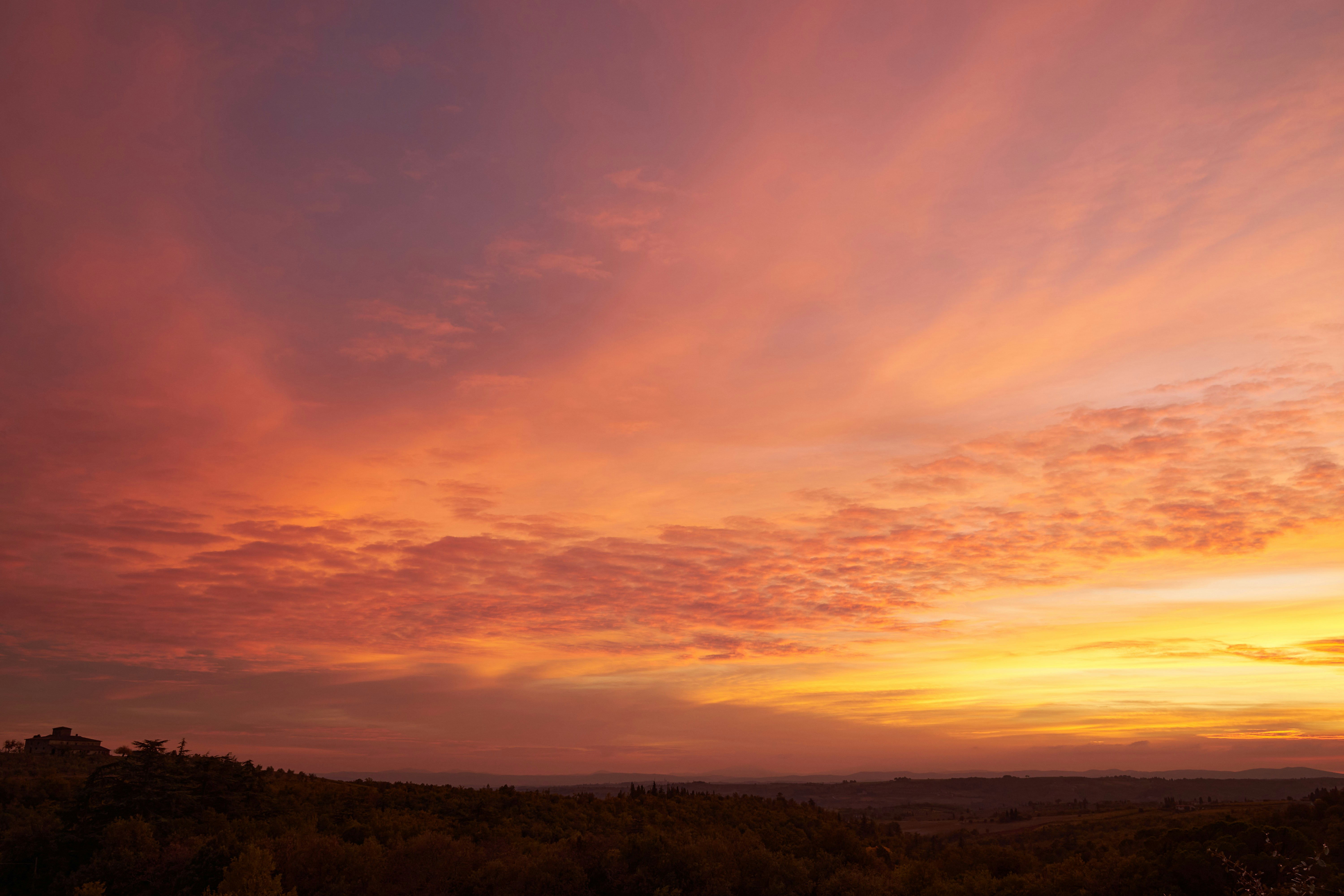 Photo by wolfgang_hasselmann