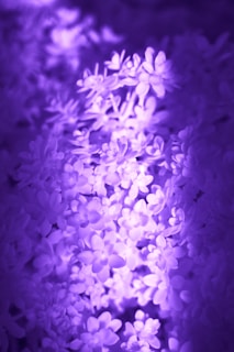 A soft glowing orb of violet light surrounded by delicate silver sparkles, evoking a serene and angelic atmosphere.