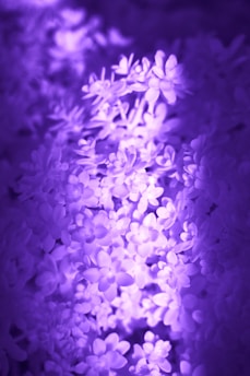 A soft glowing orb of violet light surrounded by delicate silver sparkles, evoking a serene and angelic atmosphere.