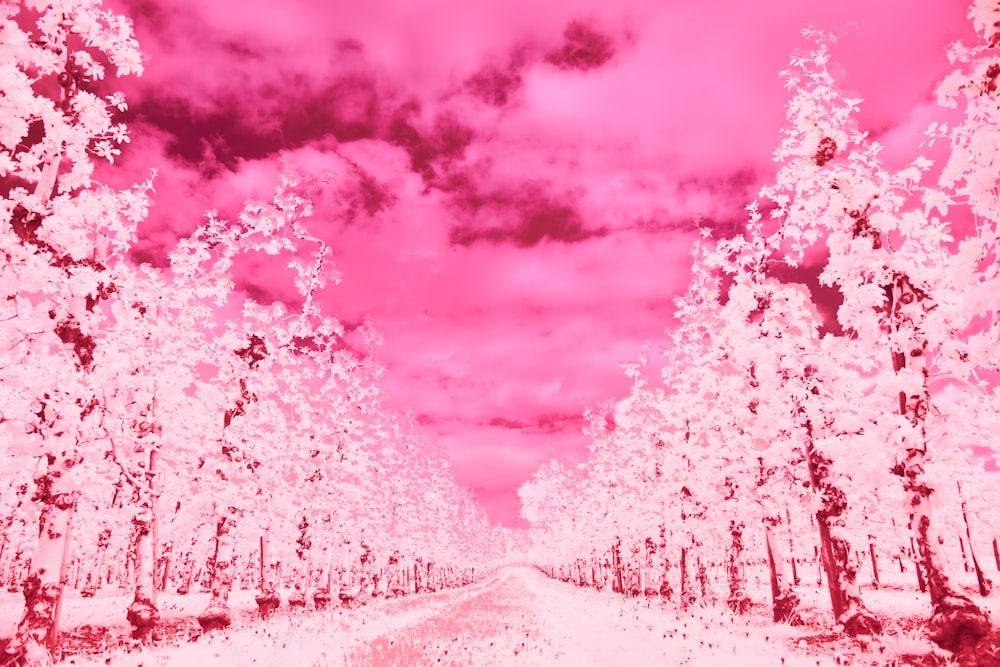 a pink and black photo of a snowy road