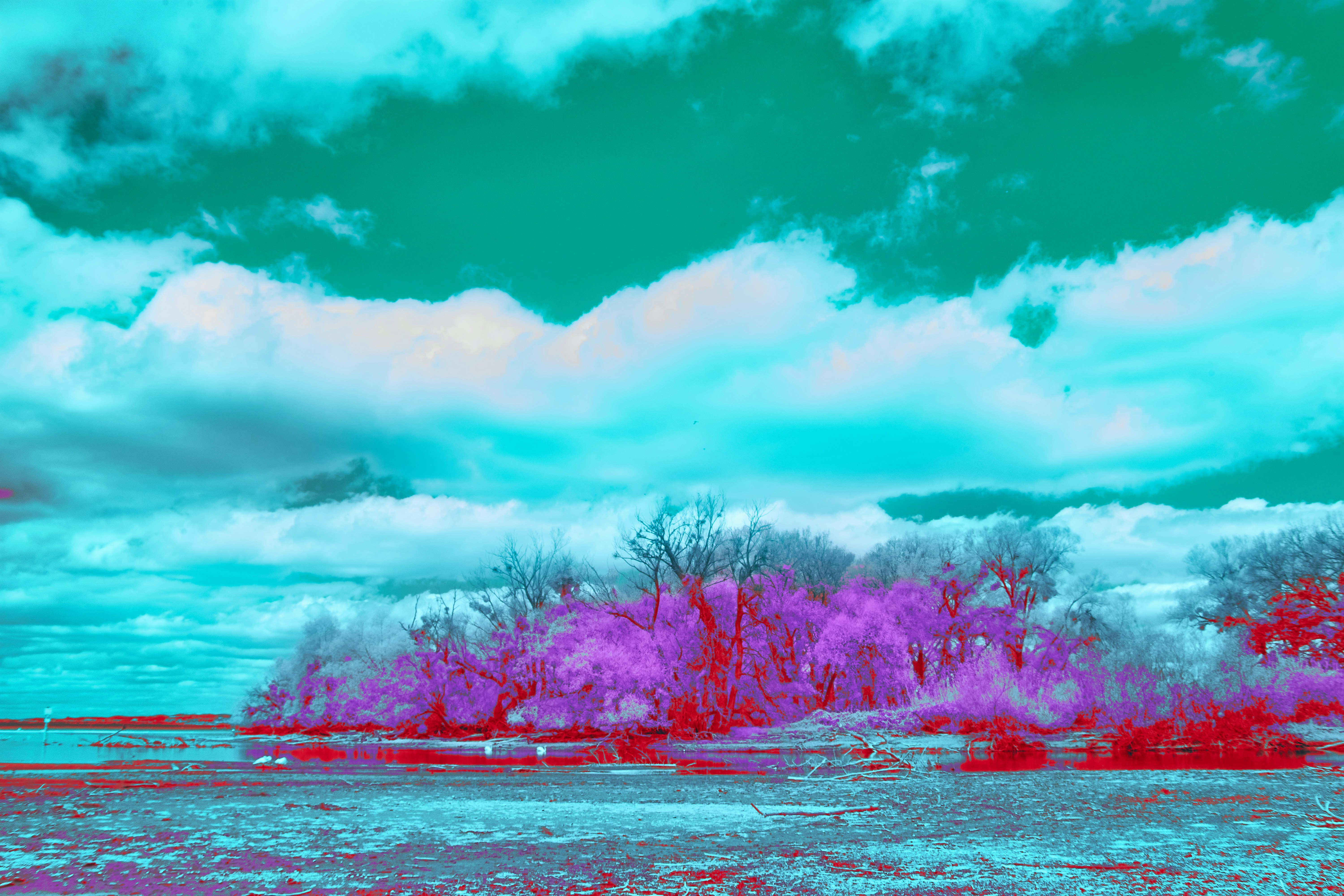 Photo by wolfgang_hasselmann