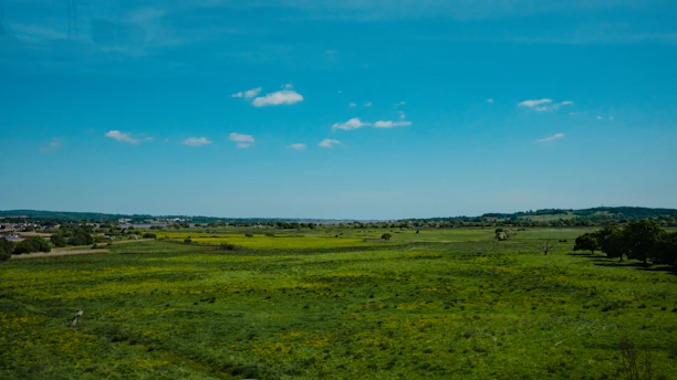 Spacious countryside estate surrounded by trees and open fields under a bright blue sky.