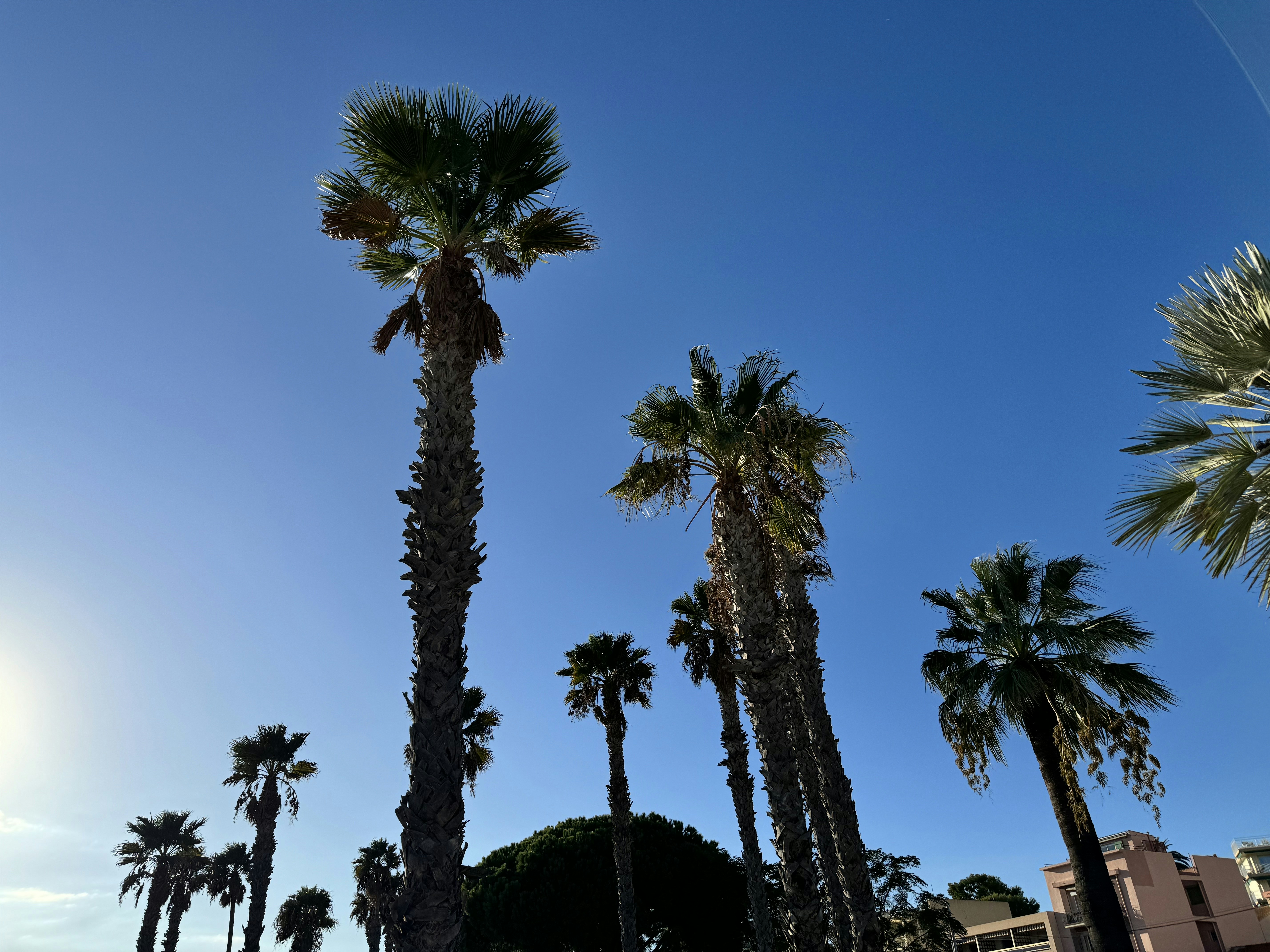 Photo by niklas_2011