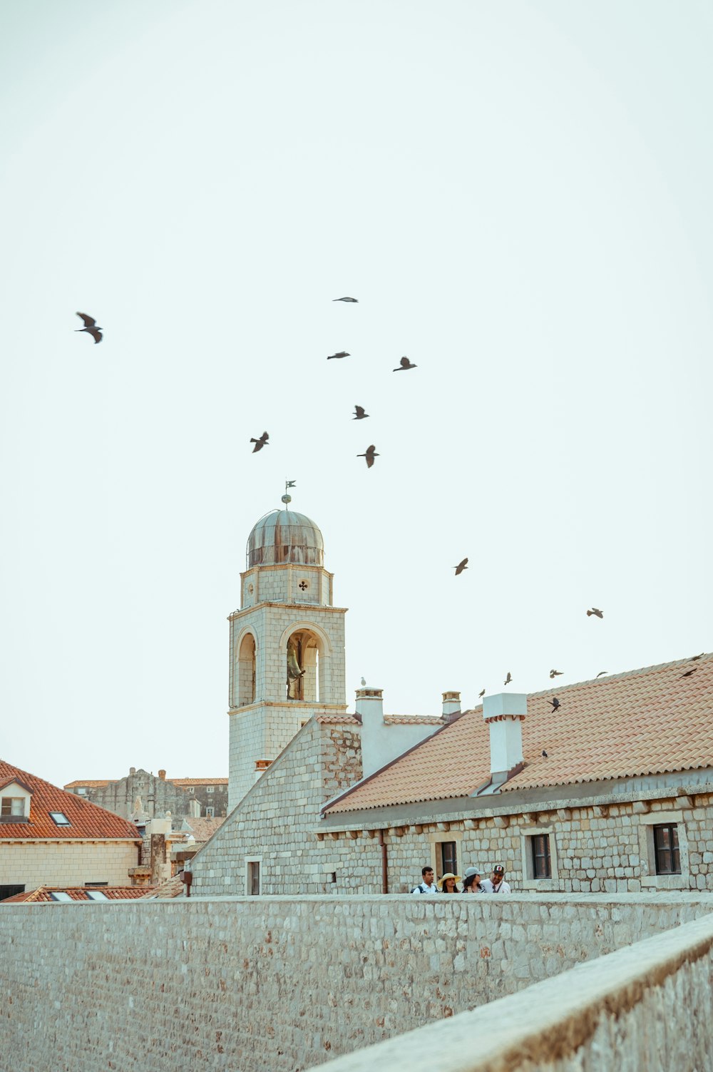 a flock of birds flying over a stone wall