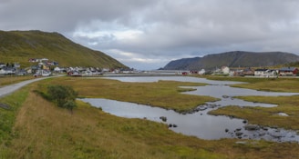 A serene coastal village scene highlighting authentic Sri Lankan daily life.
