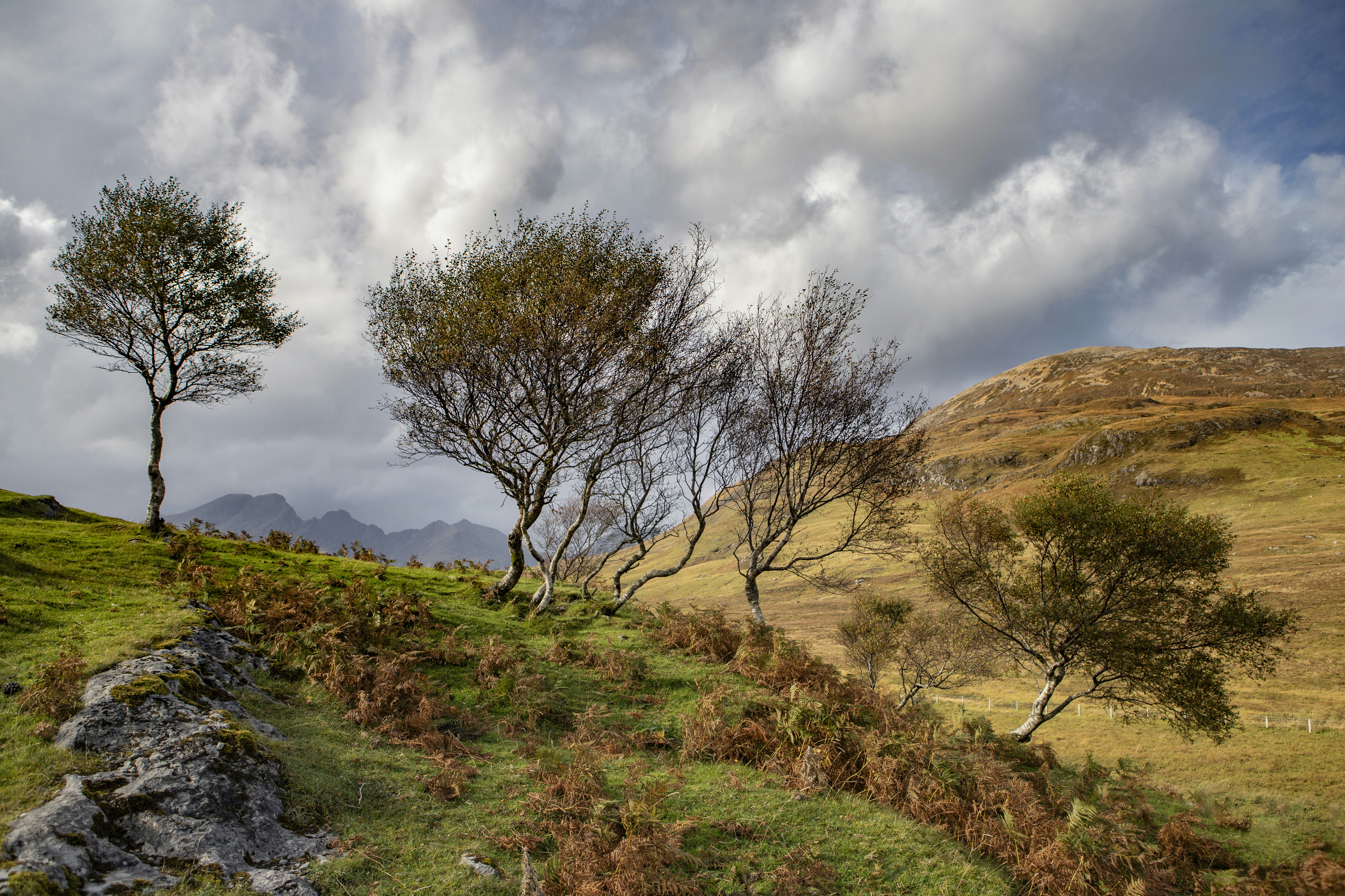 Photo by jddartphotographer