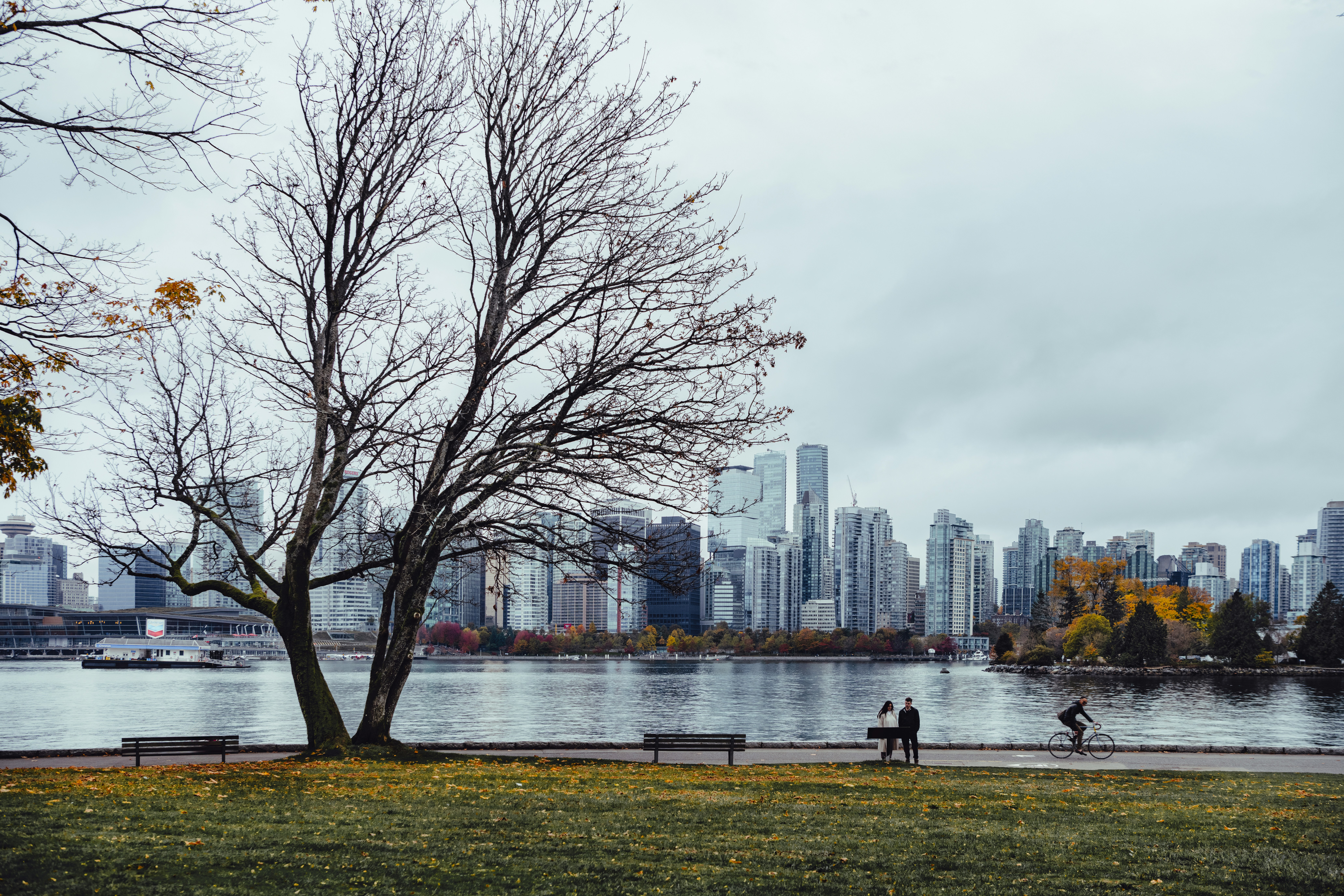 a couple of people that are standing near a tree