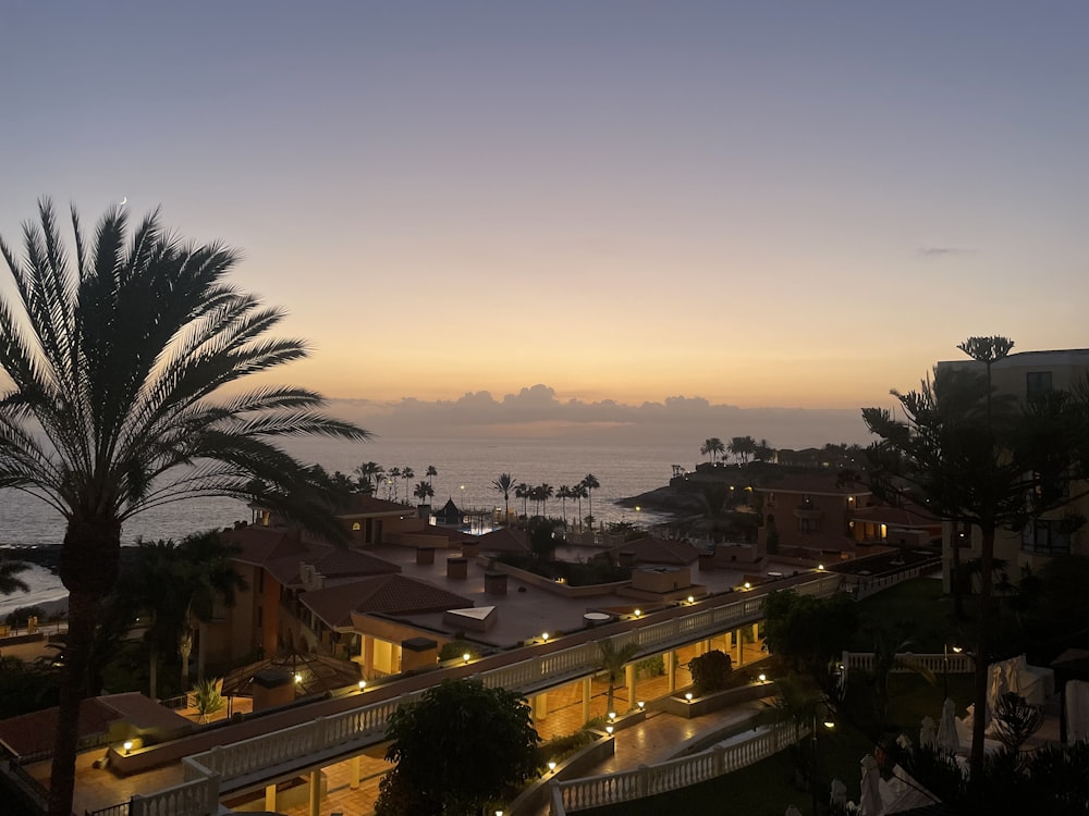 a sunset view of a city with palm trees