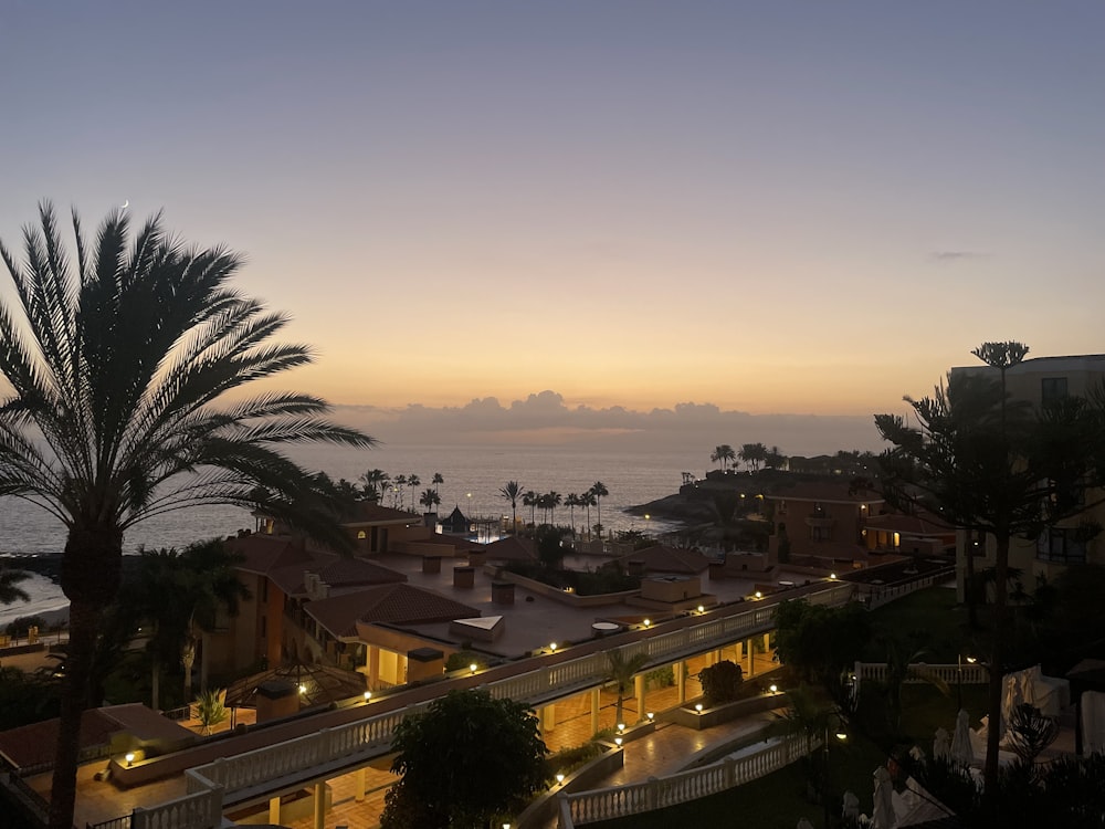 uma vista do pôr do sol de uma cidade com palmeiras