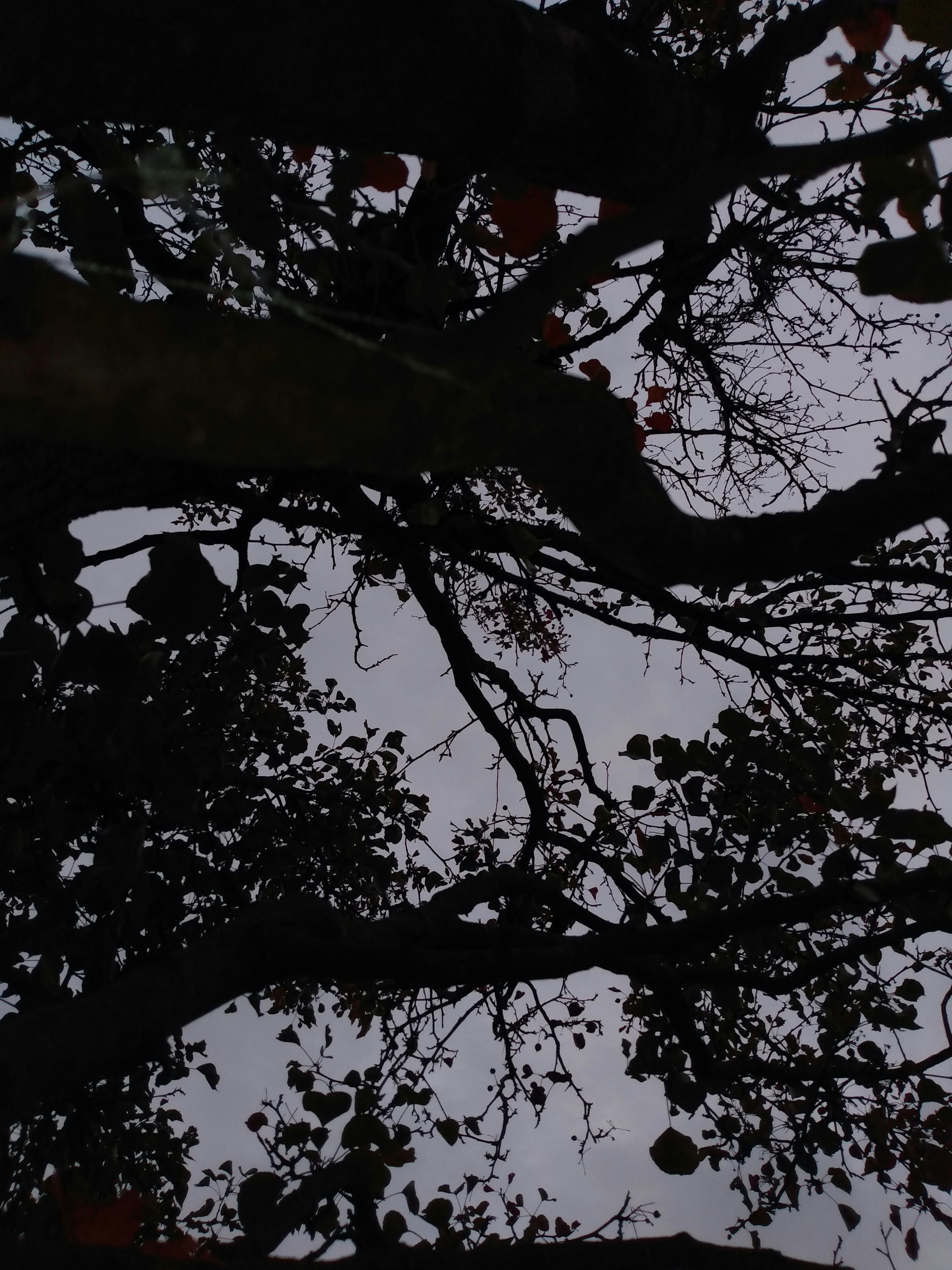 Photo by francesca56