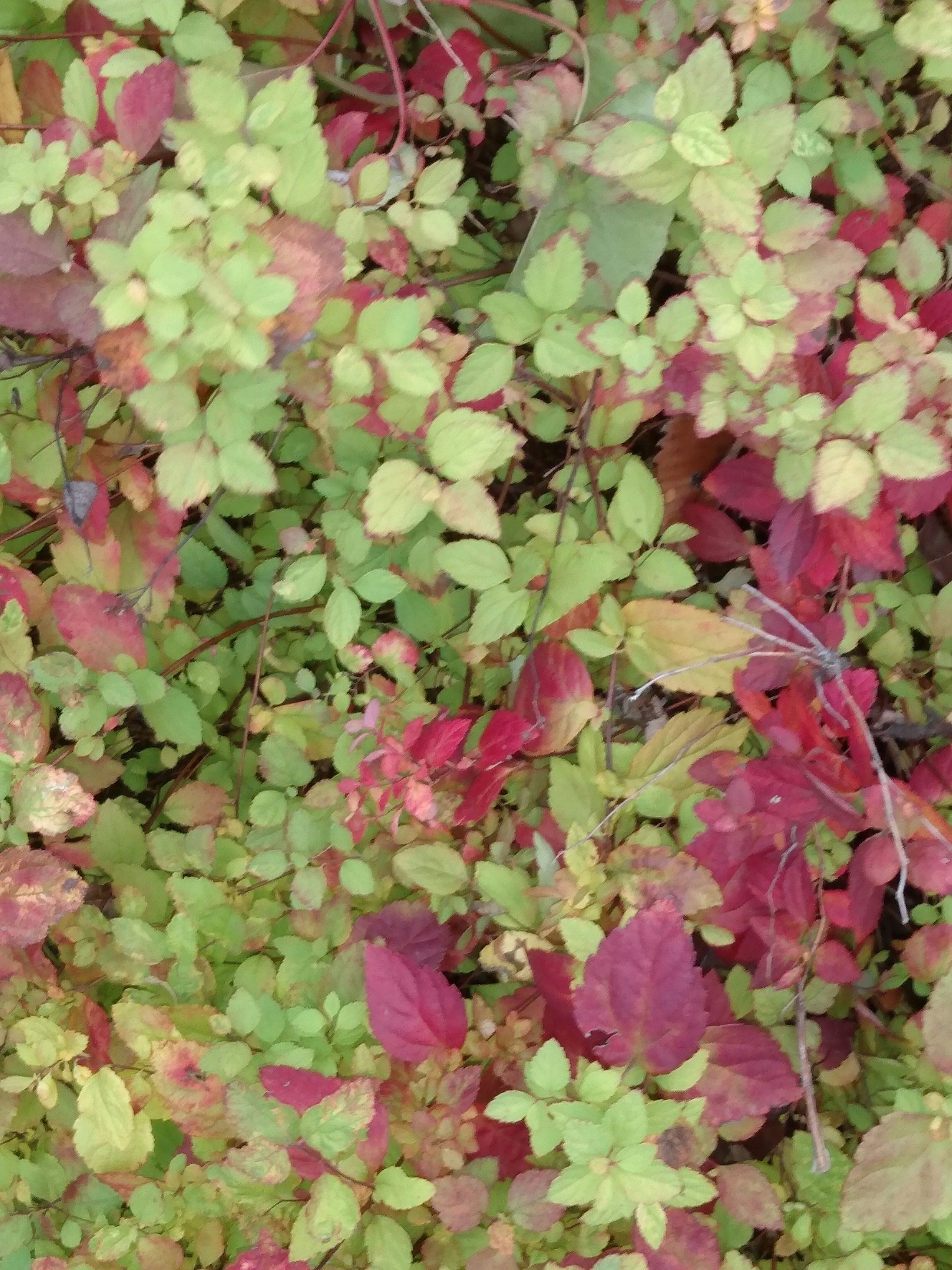 Photo by francesca56