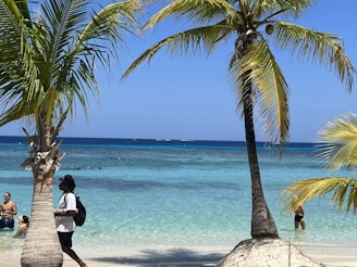 A tropical beach scene with clear blue waters and white sandy shores. Palm trees frame the view, and several people are enjoying the beach, some in the water and others walking along the sand.