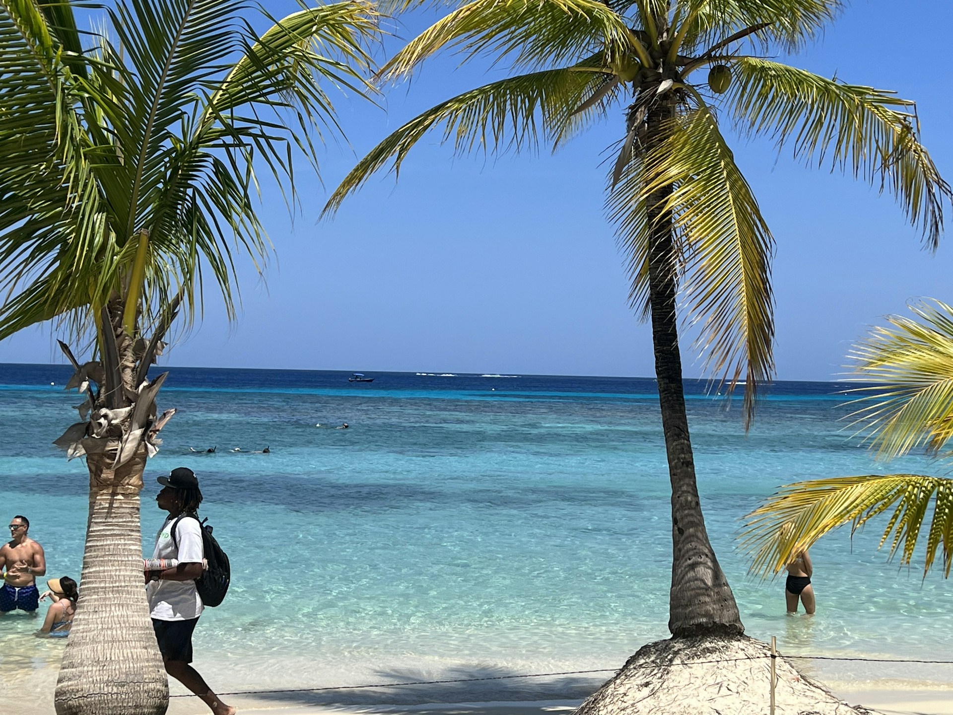 black and white bed linen