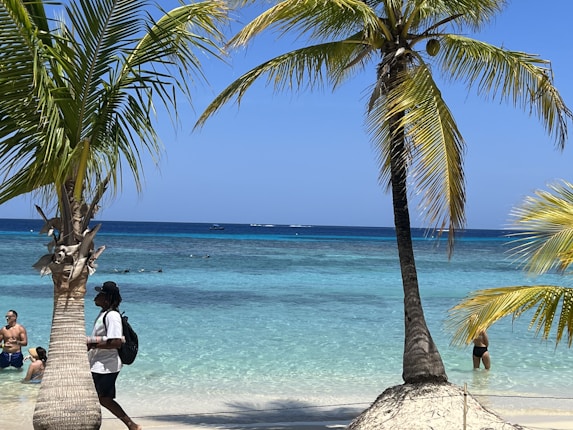 A tropical beach scene with clear blue waters and white sandy shores. Palm trees frame the view, and several people are enjoying the beach, some in the water and others walking along the sand.