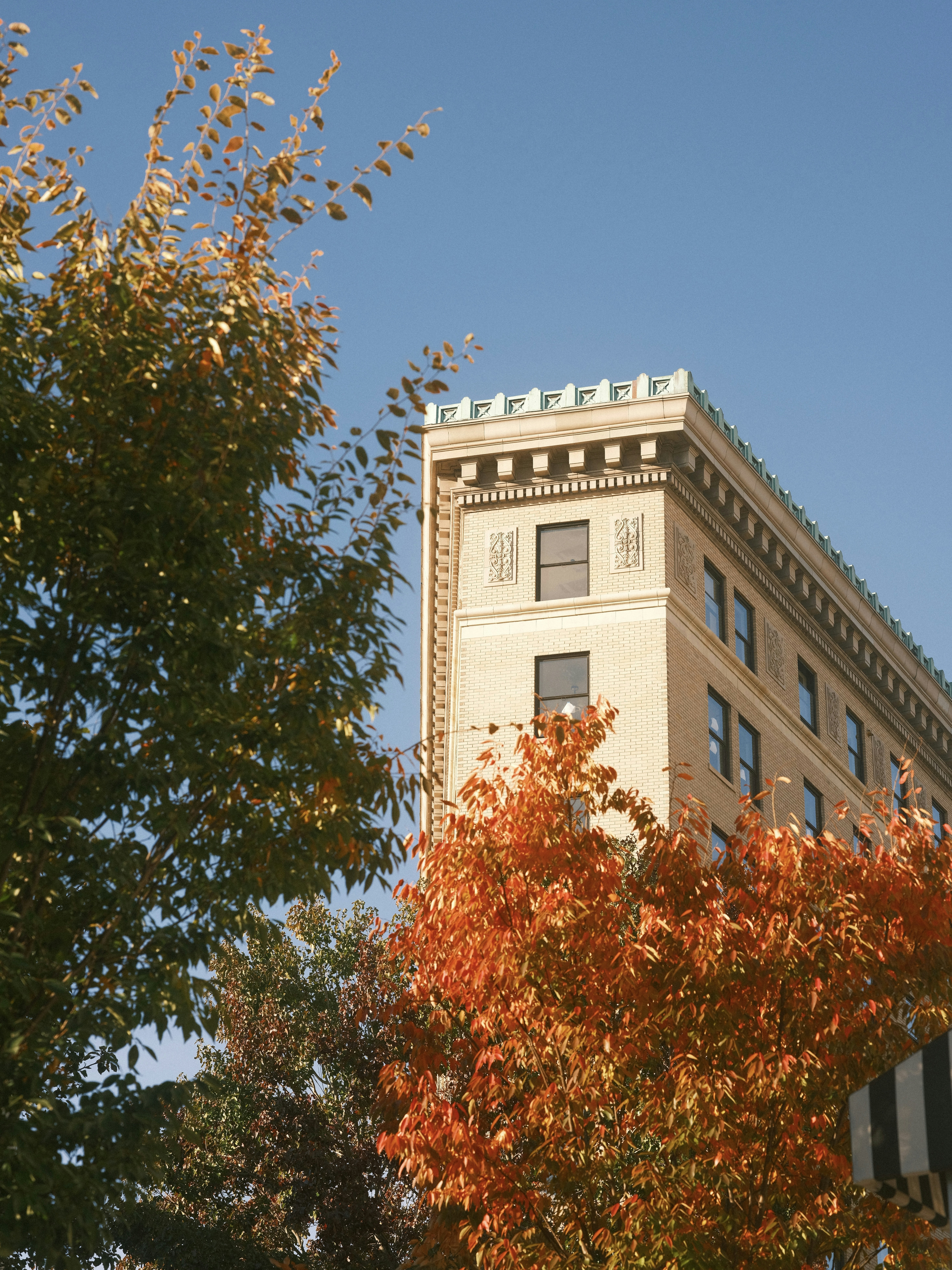 Photo by taylorheeryphoto