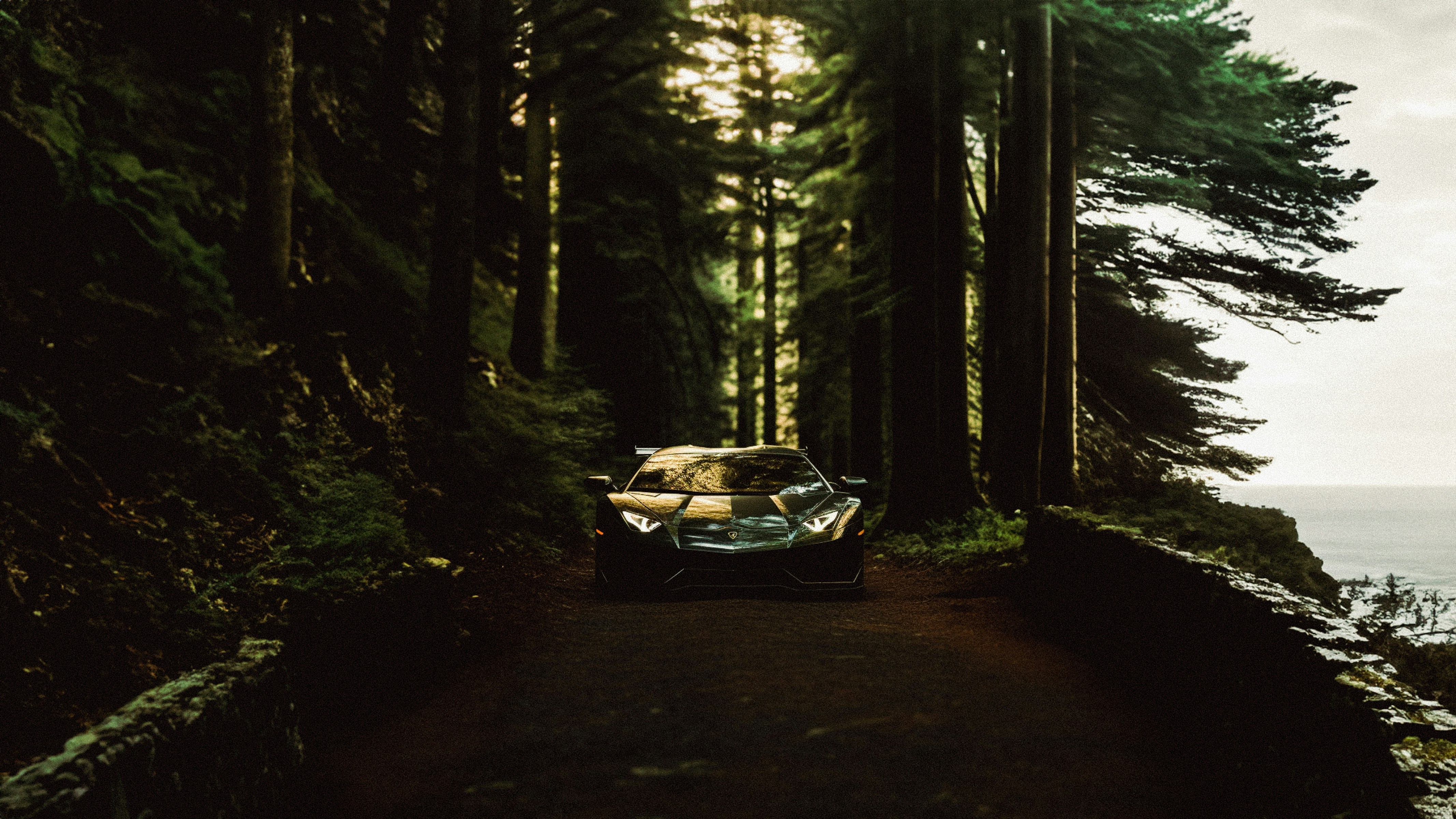 a car driving down a road next to a forest