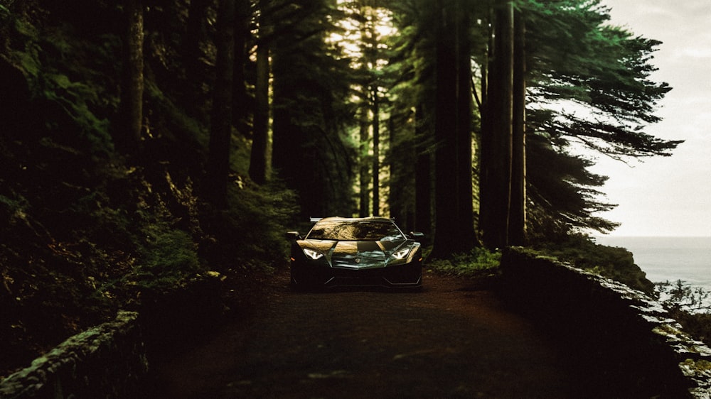 a car driving down a road next to a forest