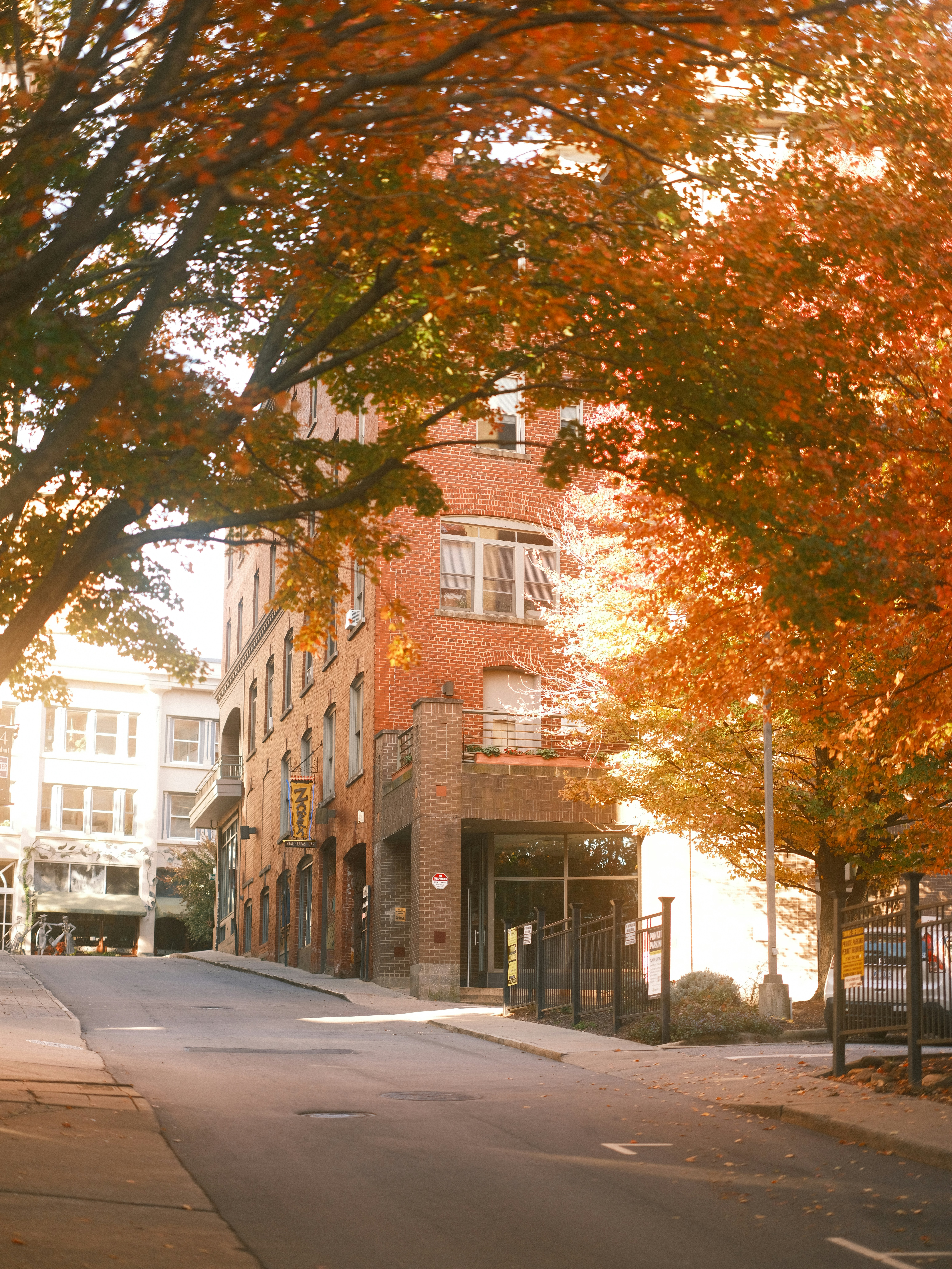 Photo by taylorheeryphoto