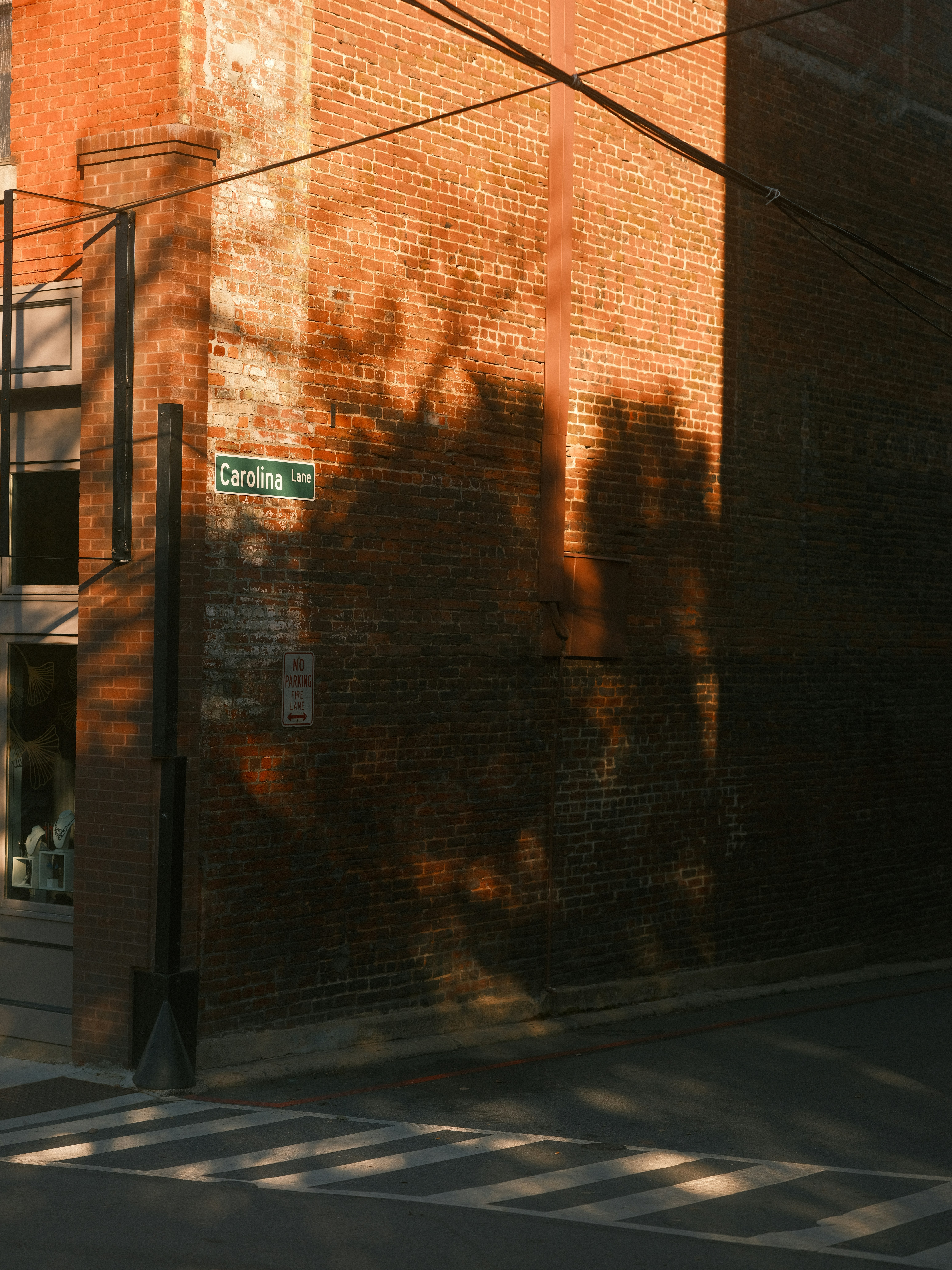 Photo by taylorheeryphoto