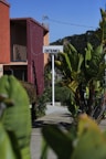 View of the hotel entrance with tropical plants and a welcoming sign