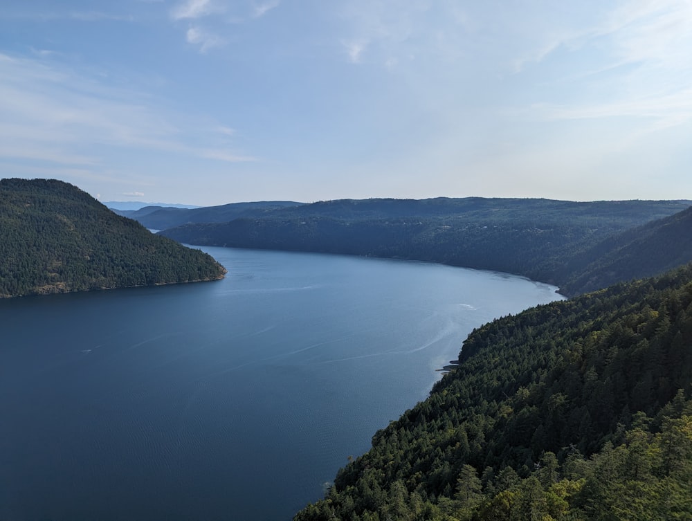 a large body of water surrounded by forest